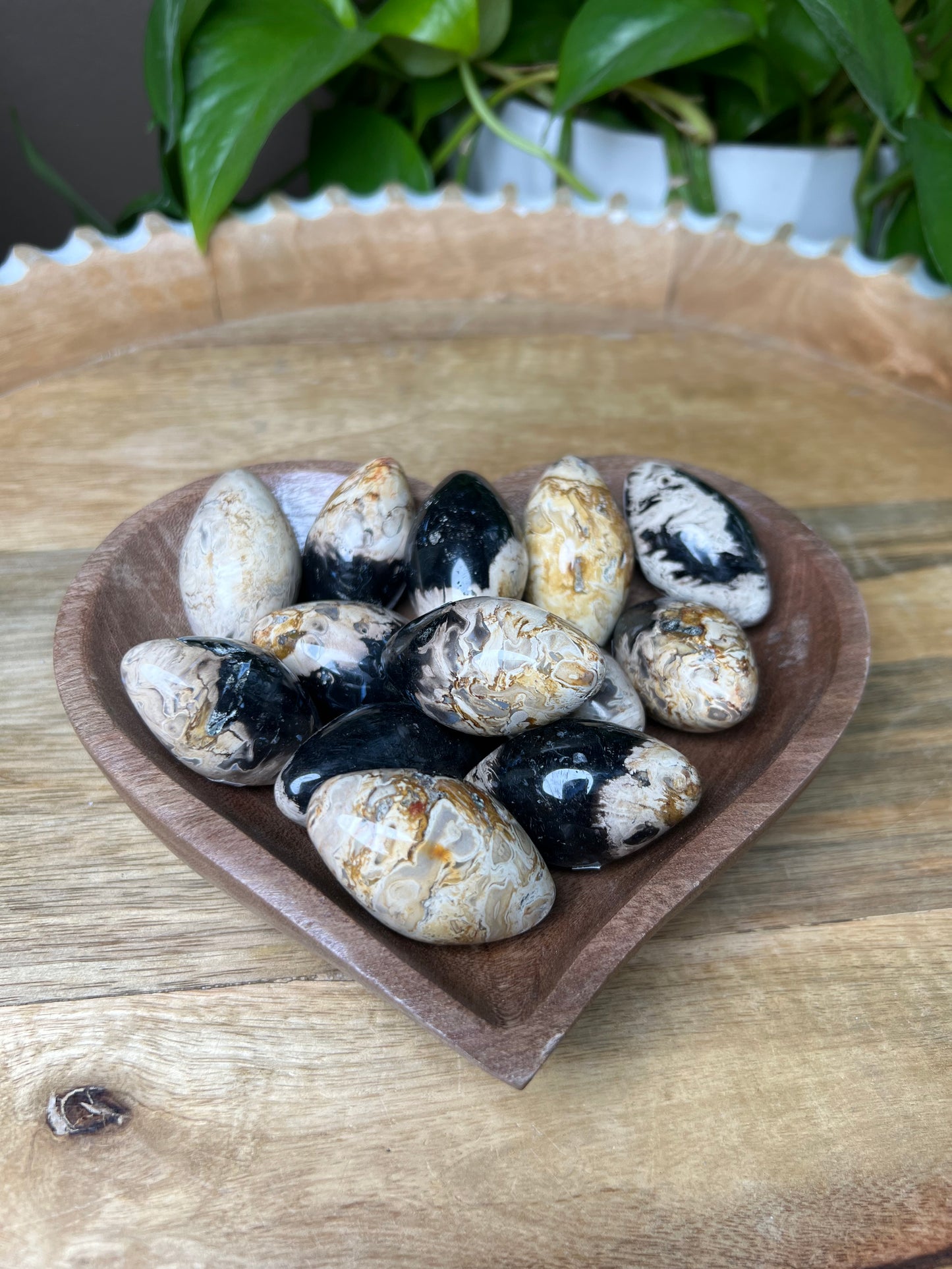 Palm Root Shivas