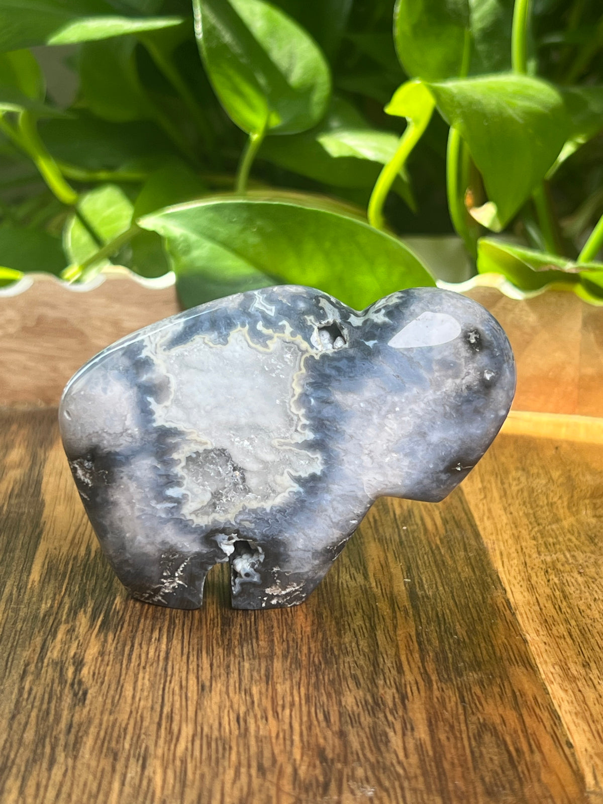 Blue Plume Agate Buffalo: BB