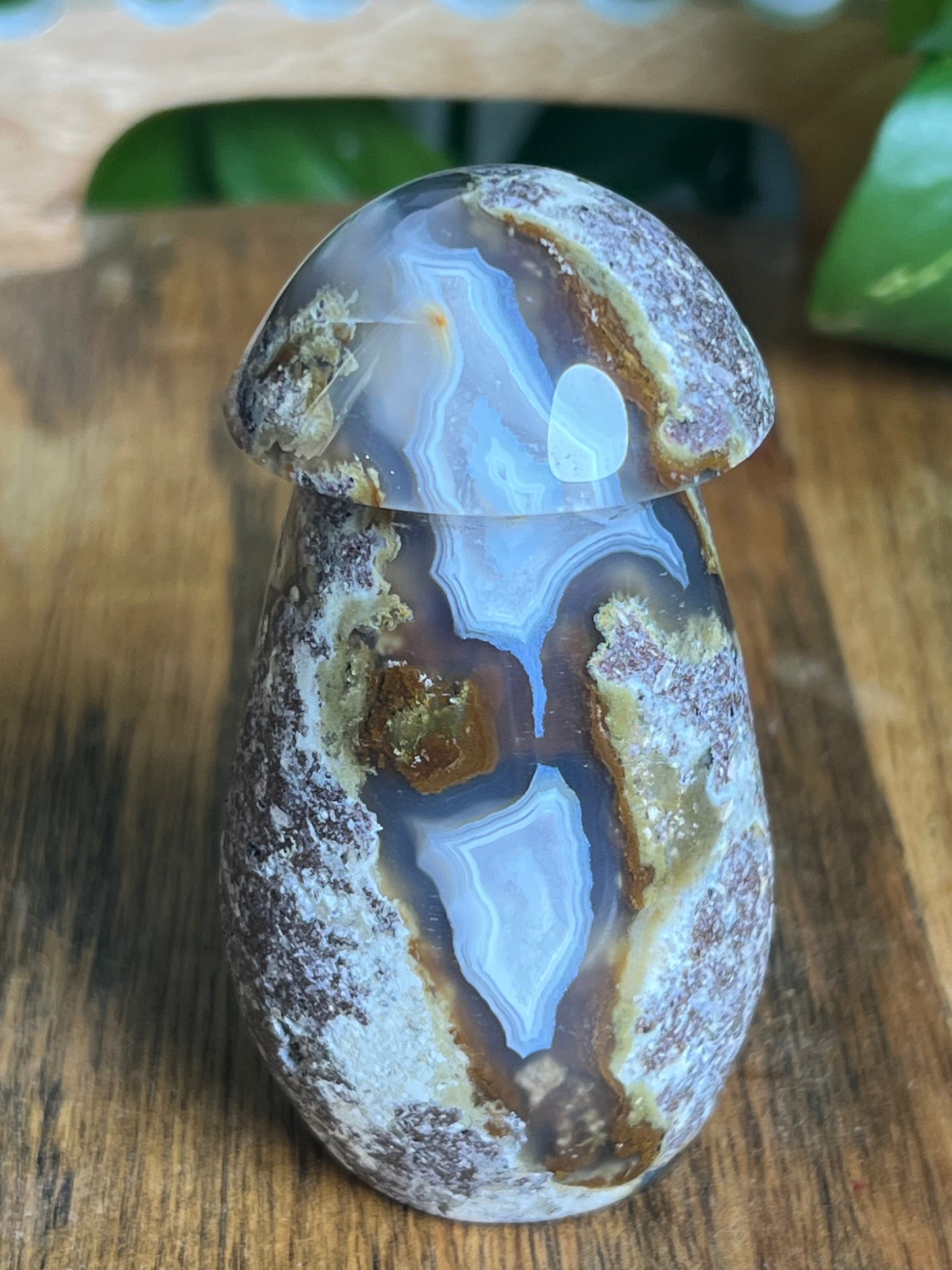 Scenic Moss Agate Mushroom