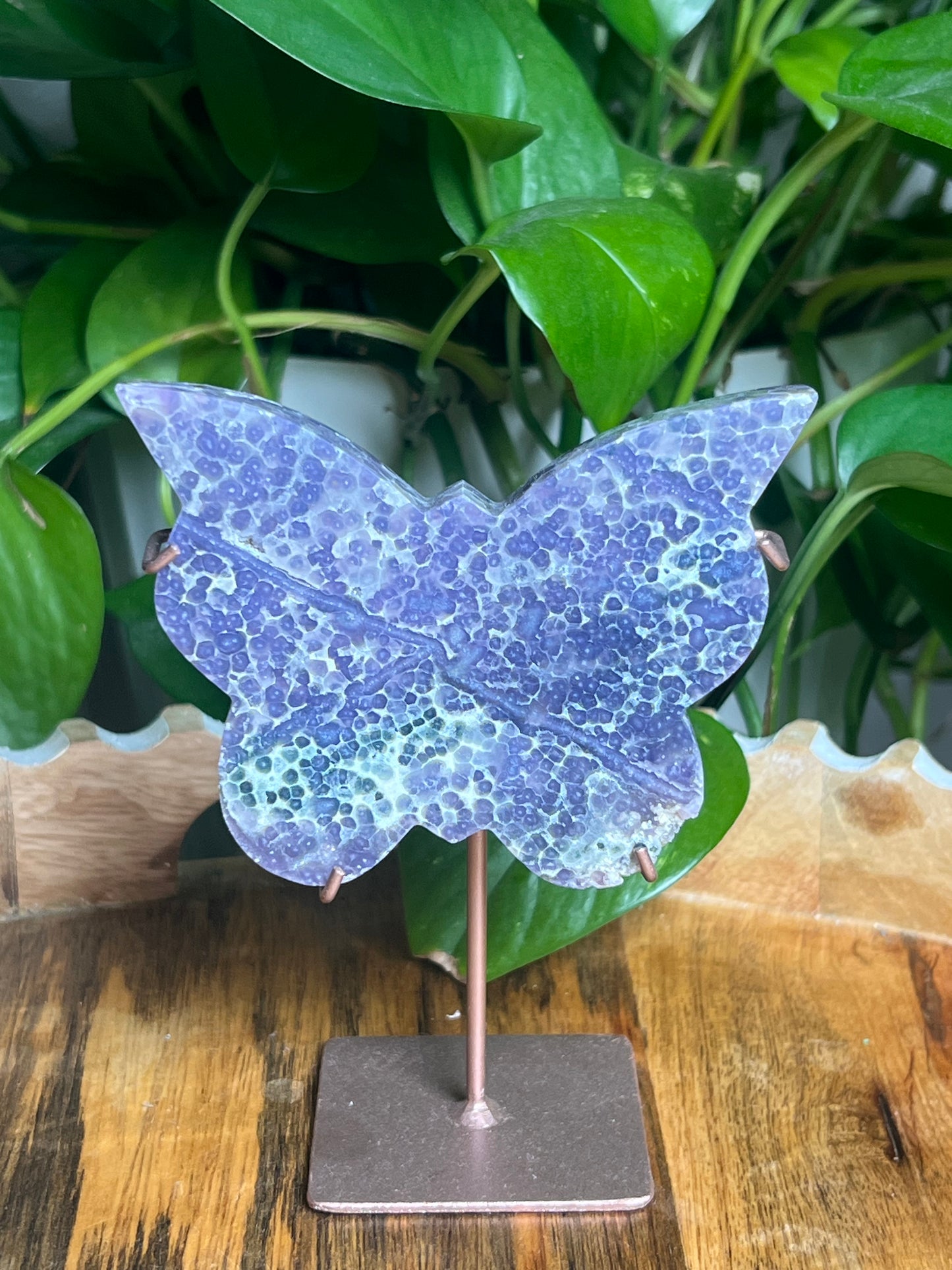 Grape Agate Butterfly: AZ