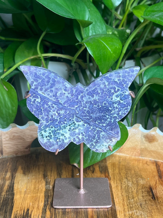 Grape Agate Butterfly: AZ