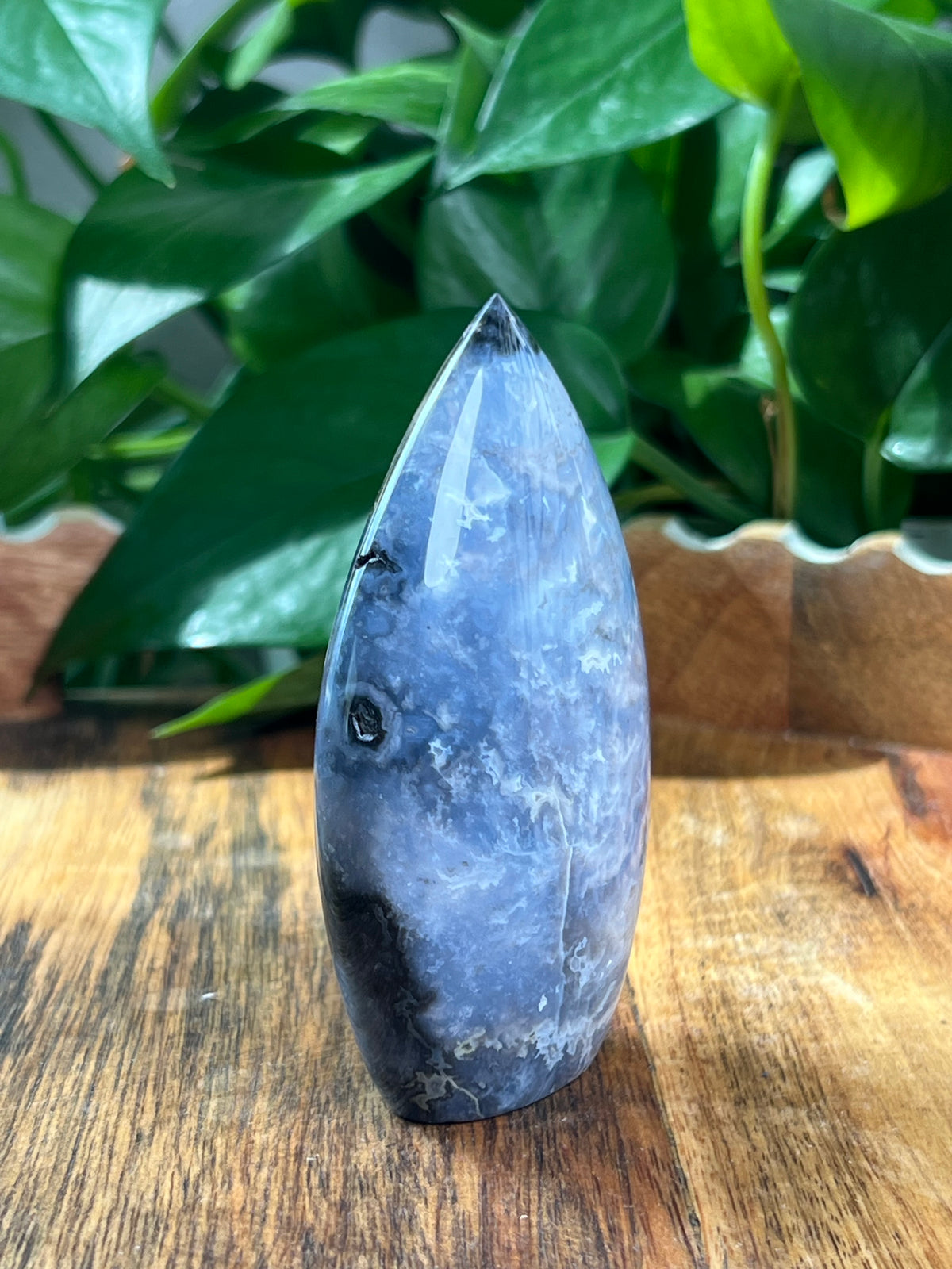 Blue Plume Agate Flame: NB