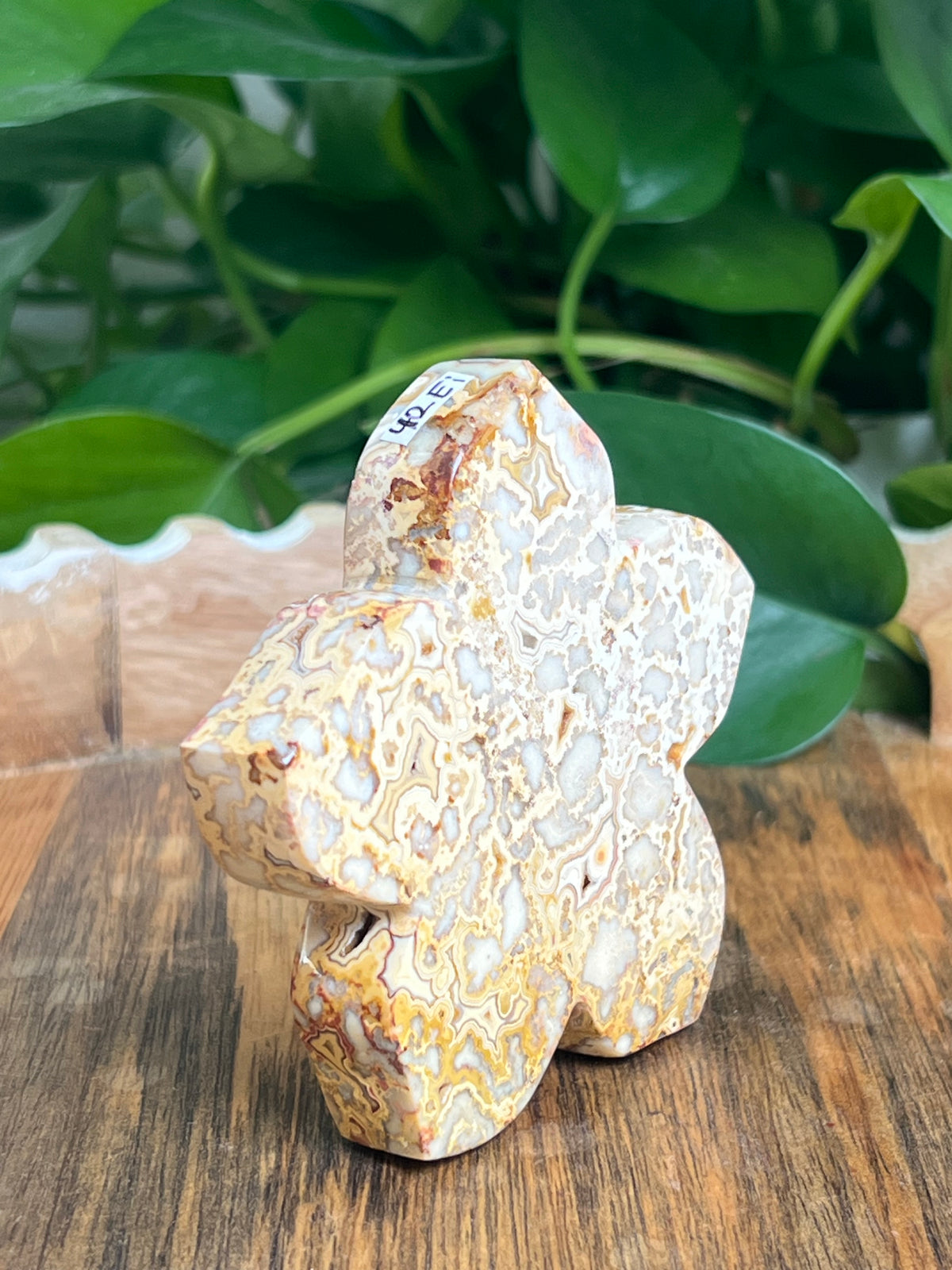 Crazy Lace Agate Flower: Ei