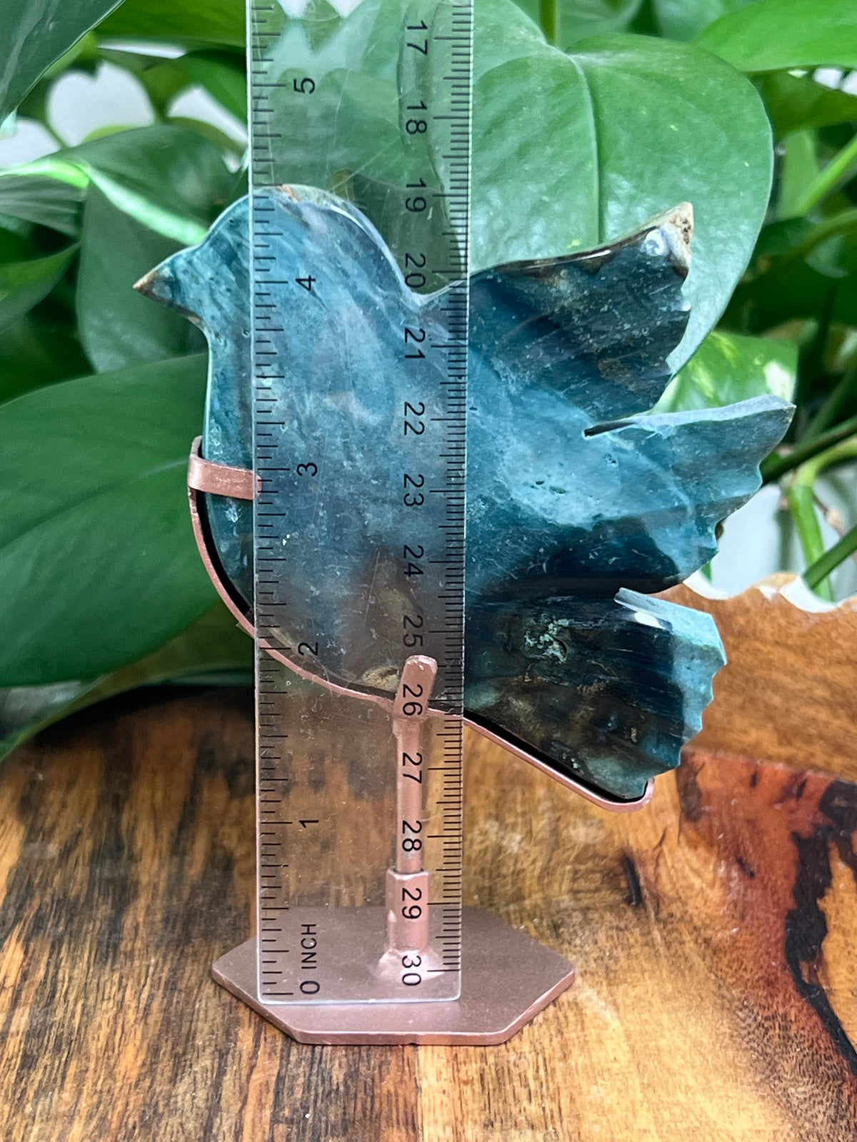 Blue Green Jasper Bird: RK
