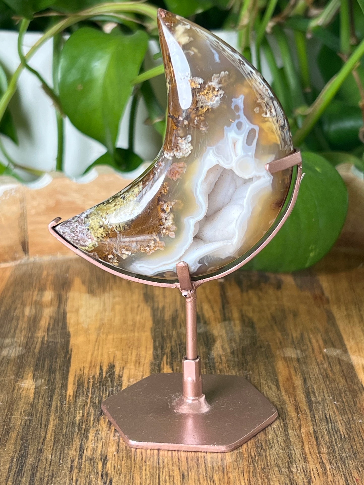 Scenic Moss Agate Moon