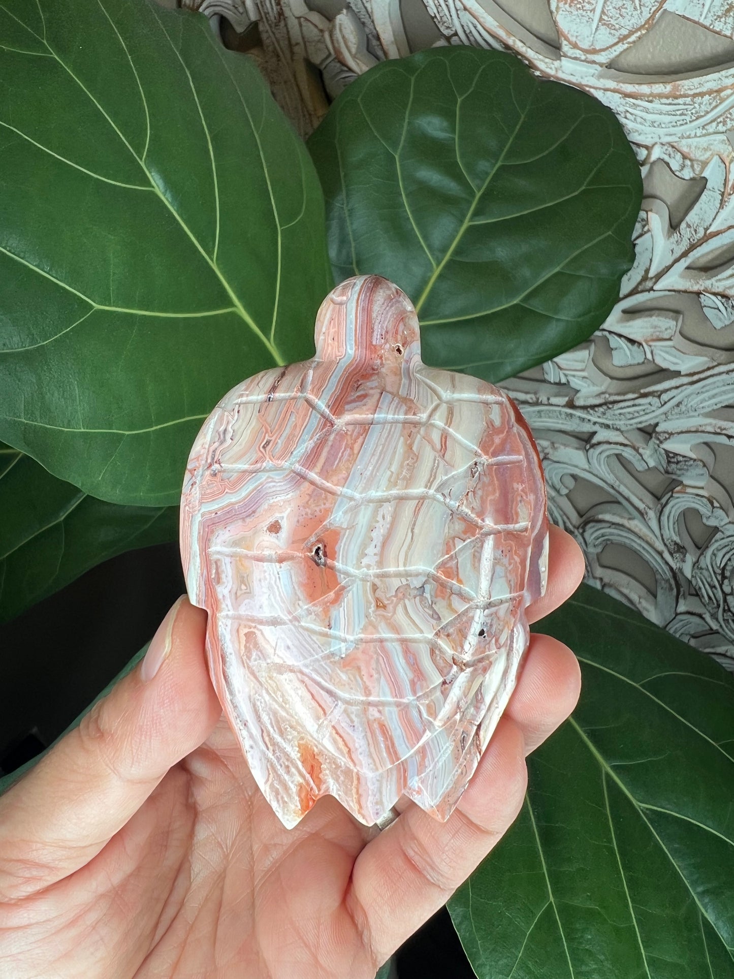 Crazy Lace Agate Turtle