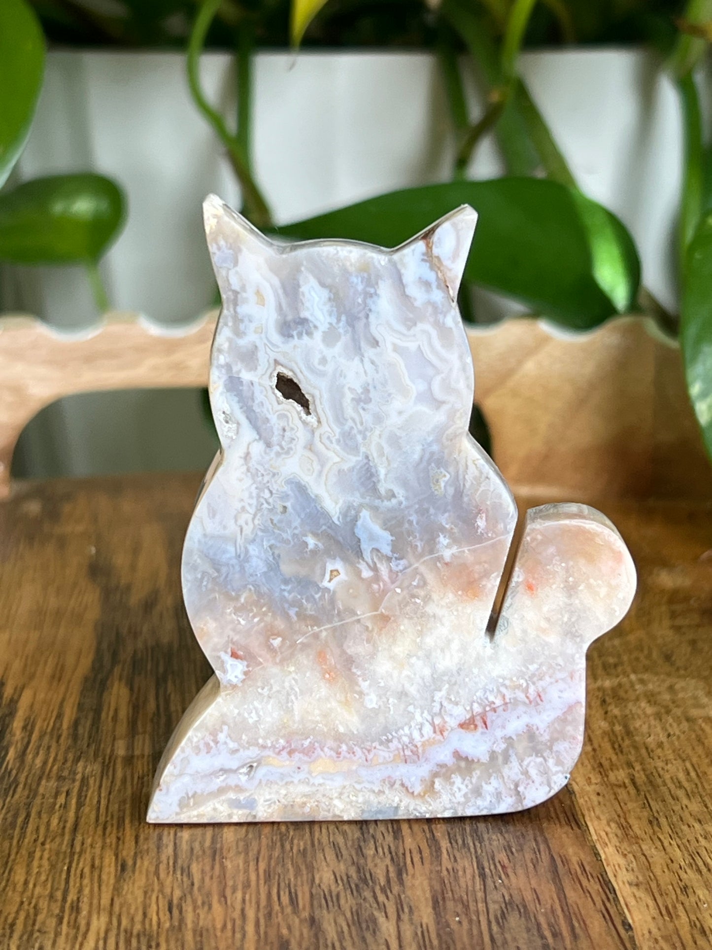 Sumatra Agate Cat EE