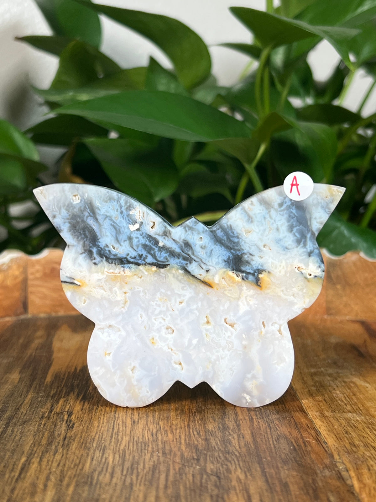 Rainbow Plume Agate Butterflies