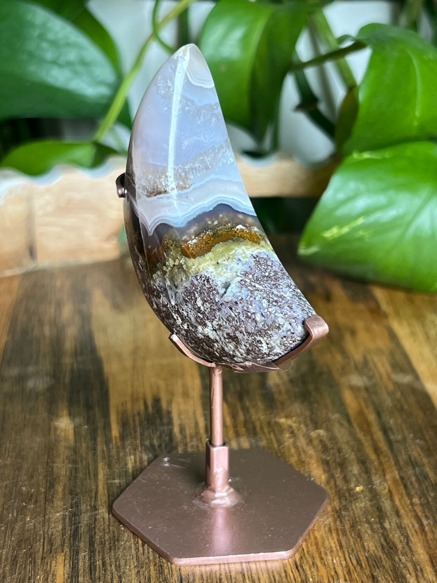 Scenic Moss Agate Moon