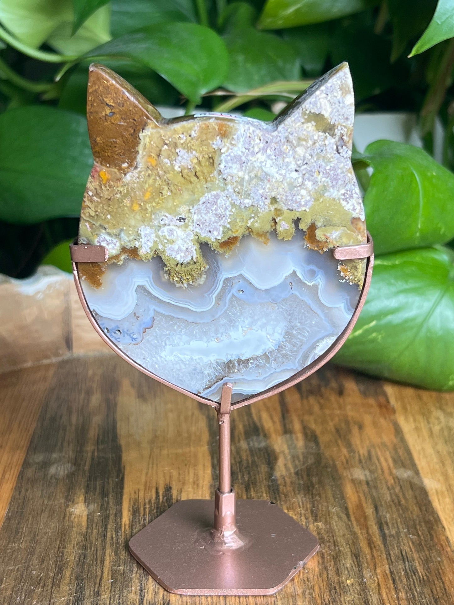 Scenic Moss Agate Cat Head