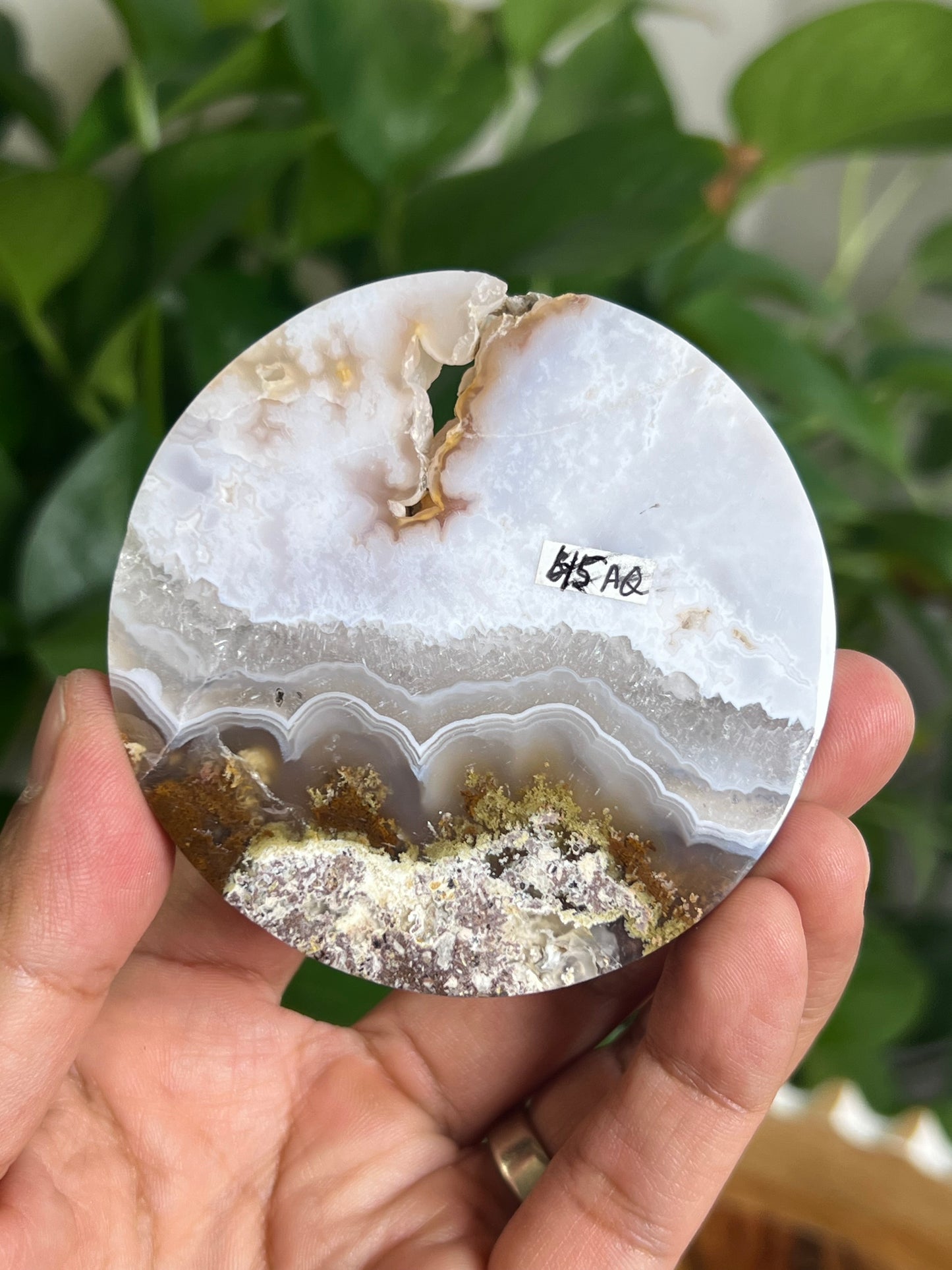 Scenic Moss Agate Coaster: AQ