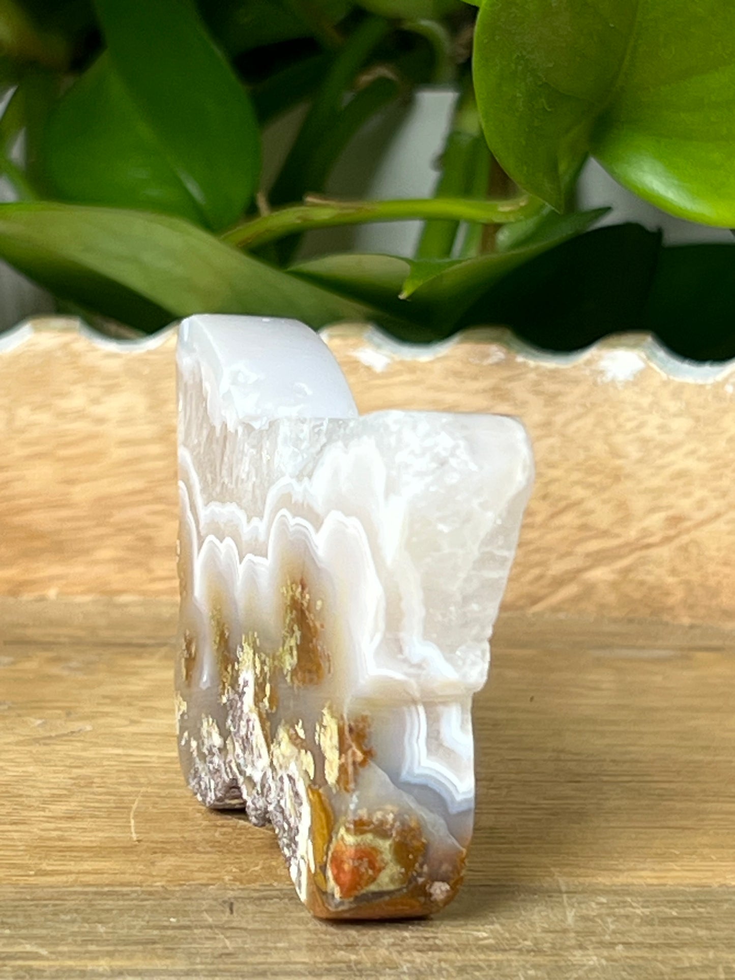 Scenic Moss Agate Butterfly