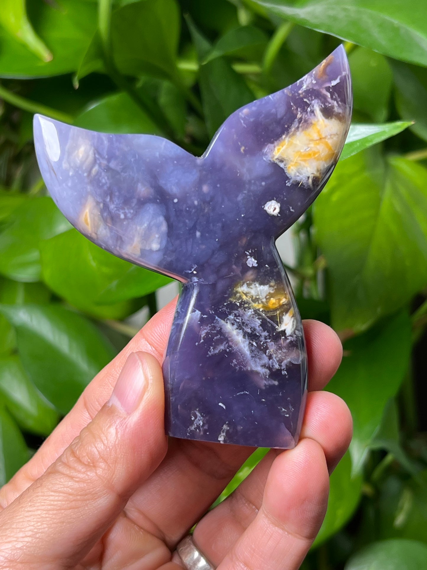 Purple Chalcedony Tail