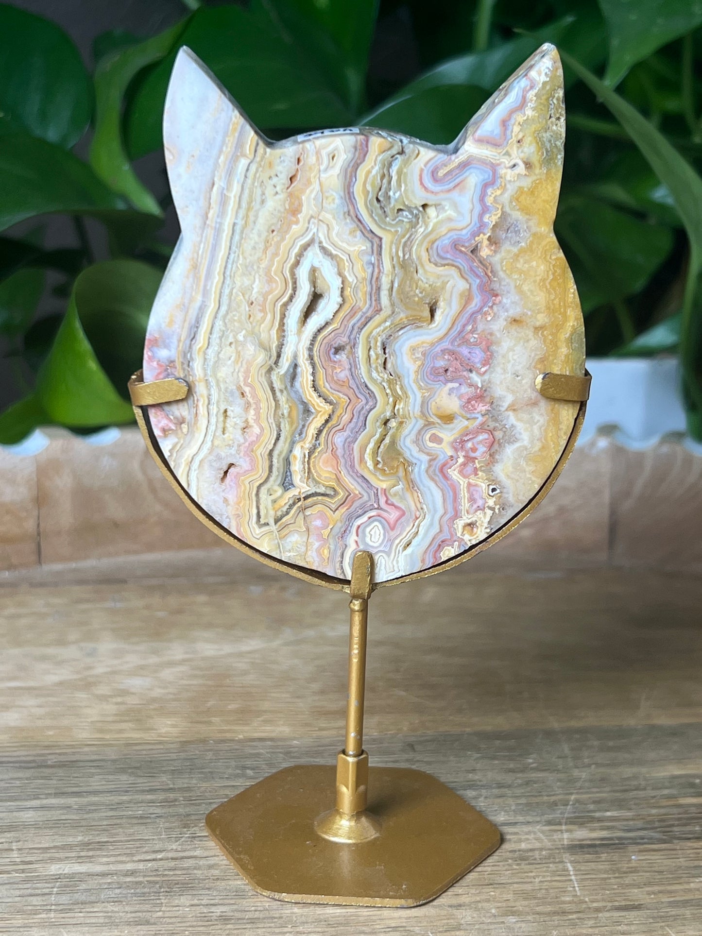 Crazy Lace Agate Cat