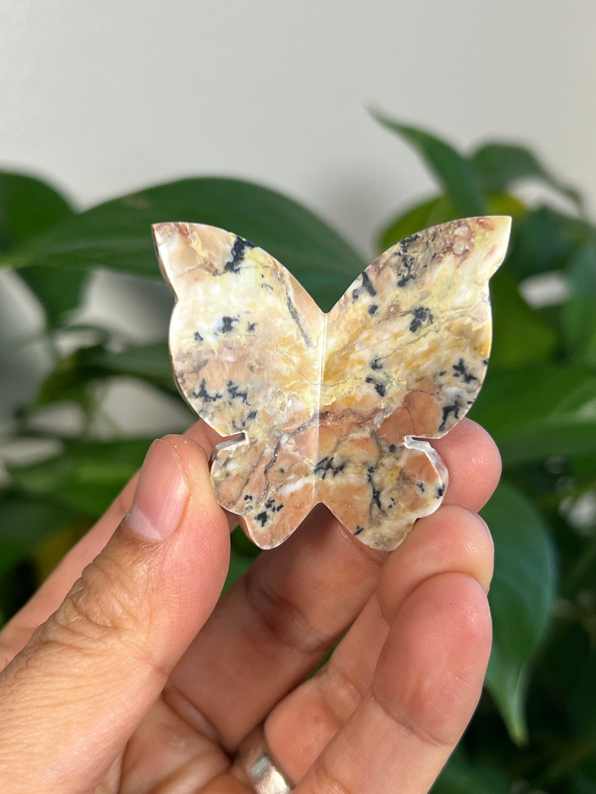 Peachy Pink Dendritic Jasper 3D Butterflies