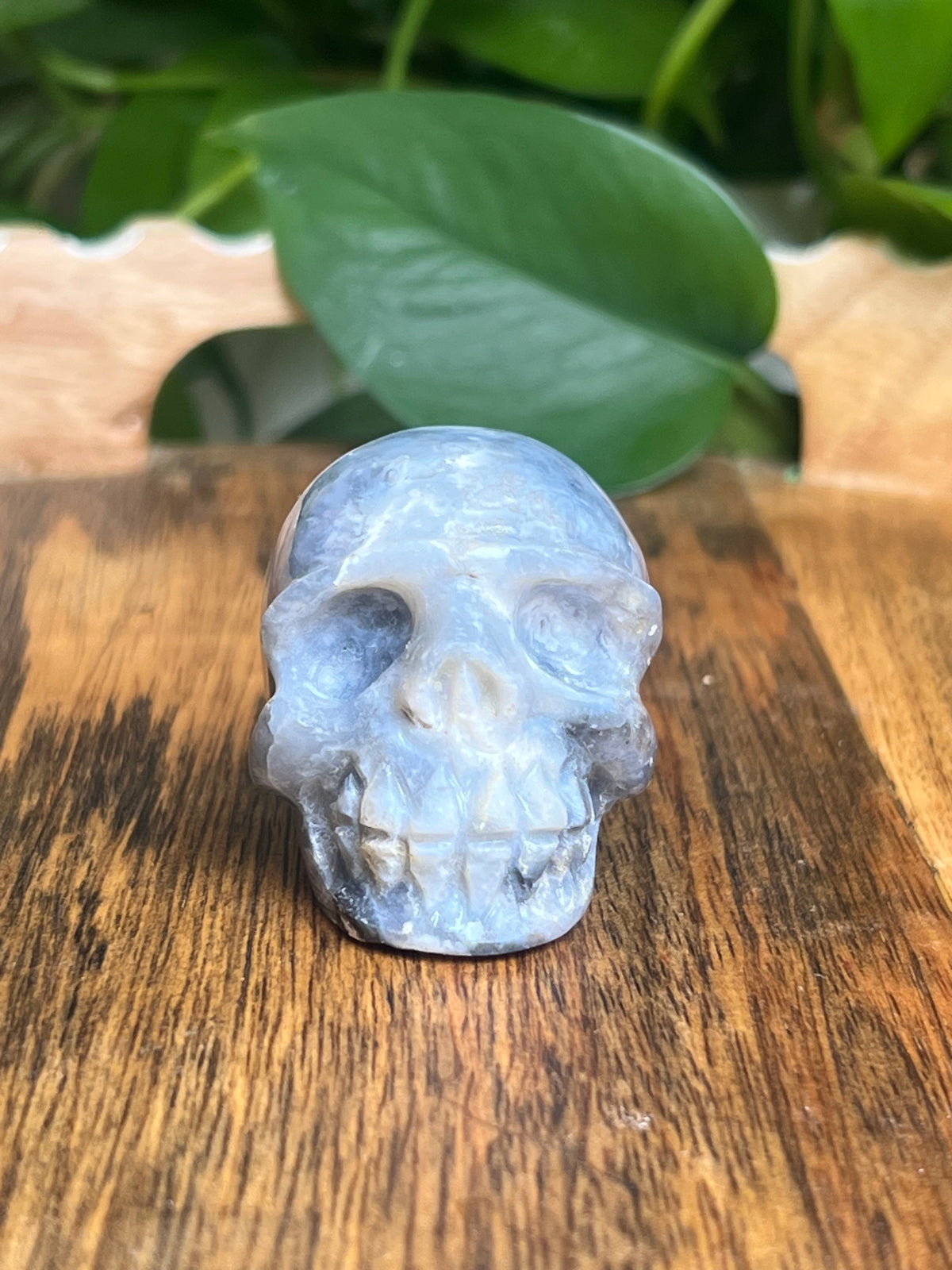 Blue Plume Agate Skull: E