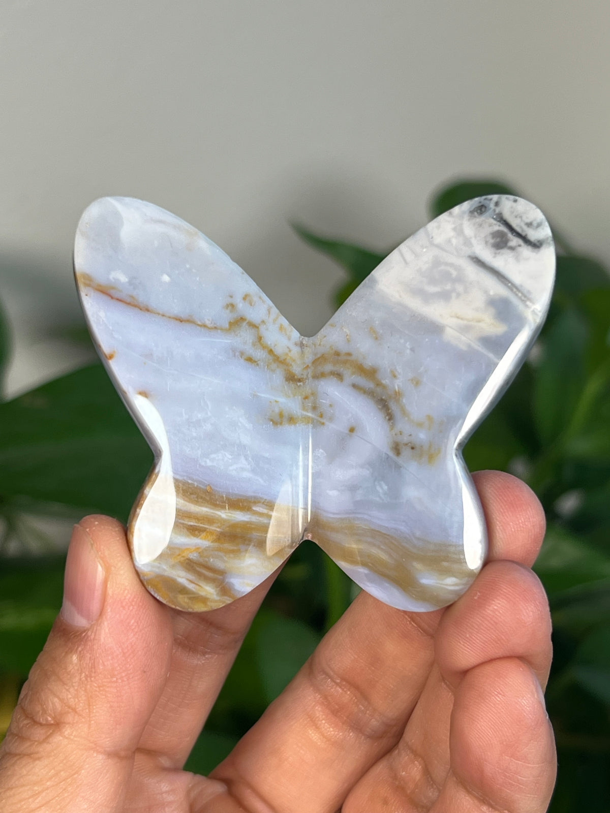 Milky River Jasper 3D Butterflies