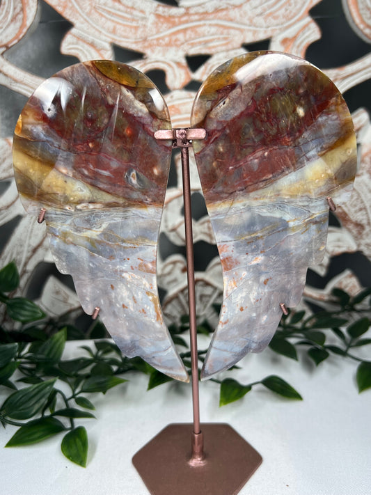 River Jasper Wings