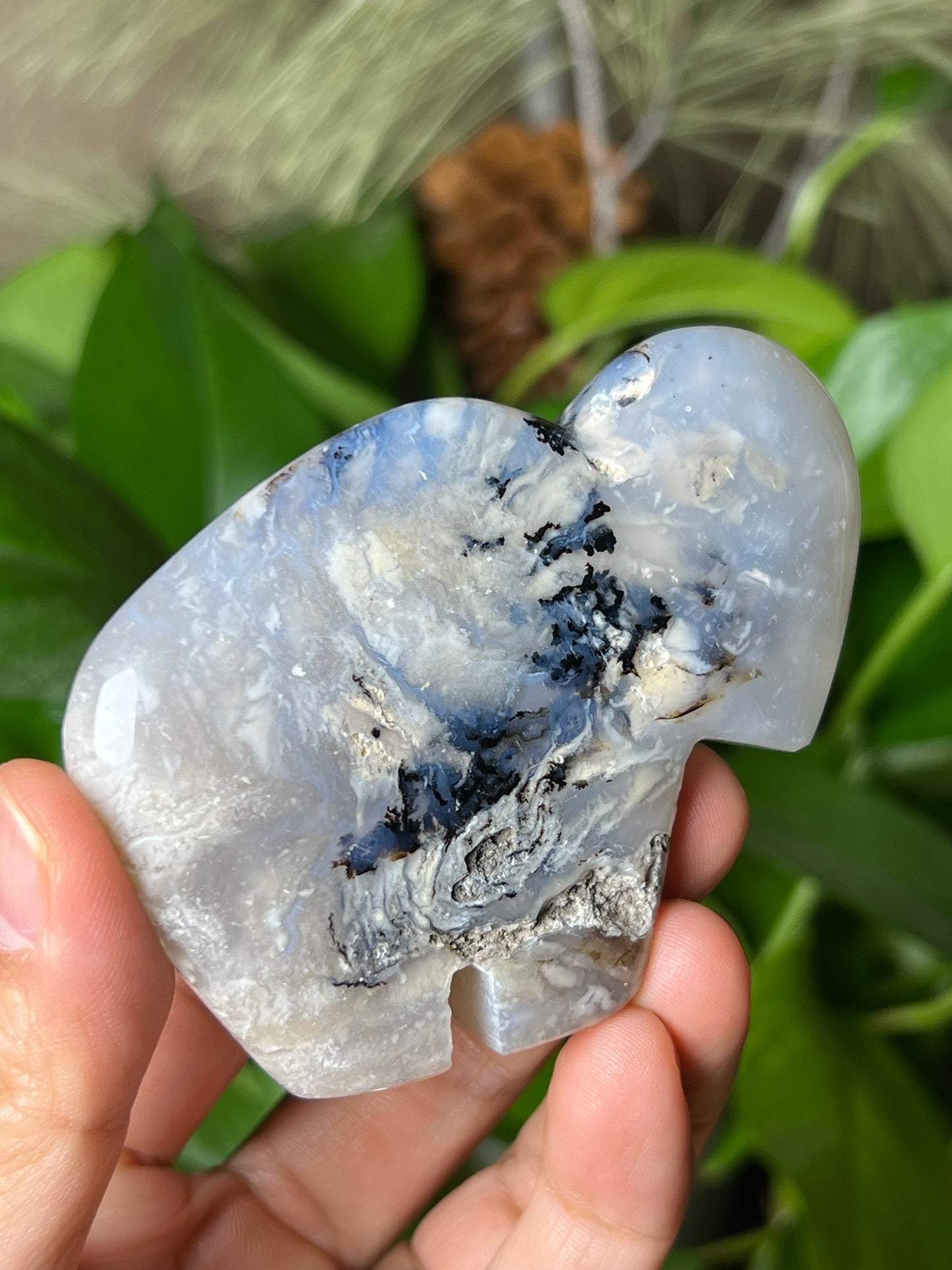 Dendritic Tiger Buffalo