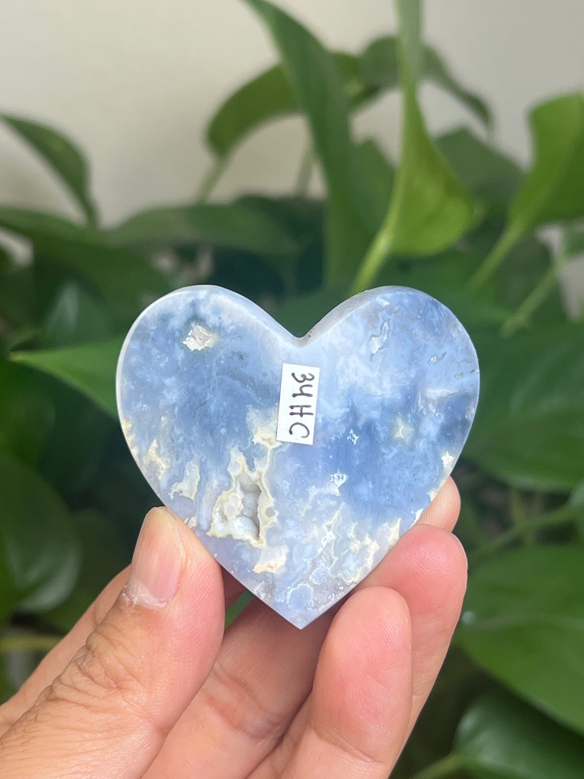 Blue Plume Agate 3D Butterfly: HC