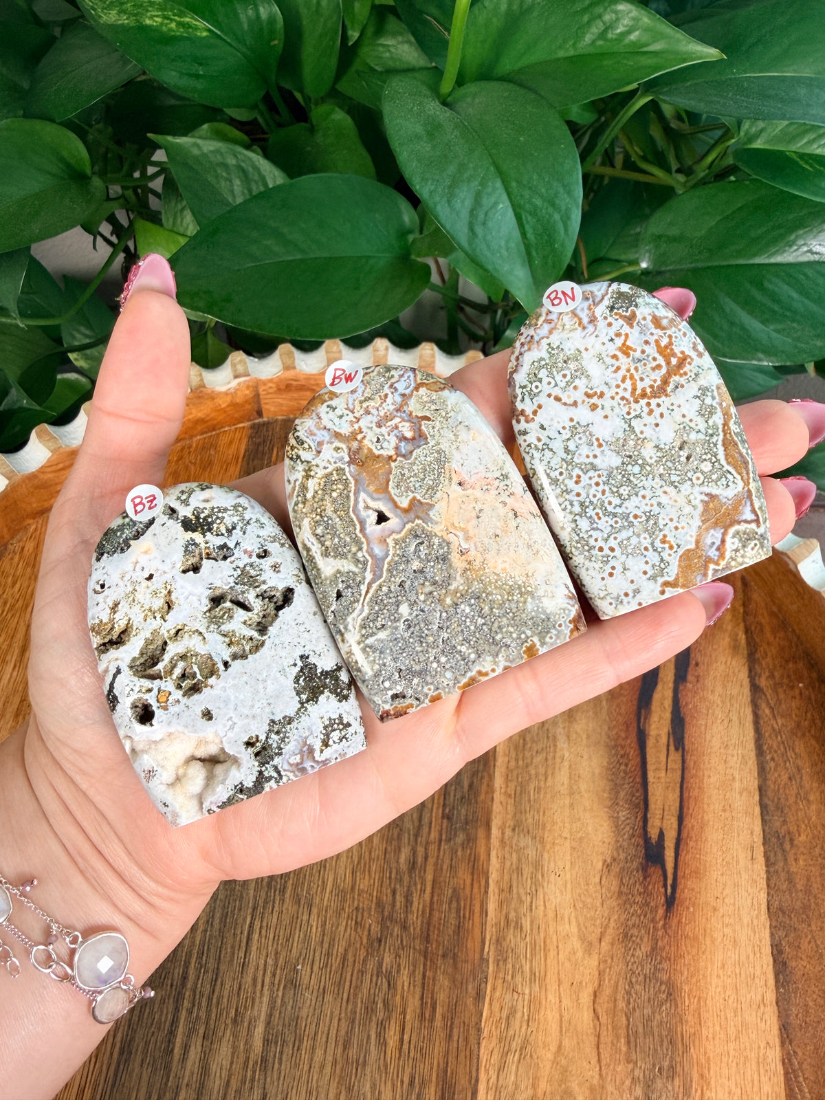 Sea Jasper Mini Freeforms