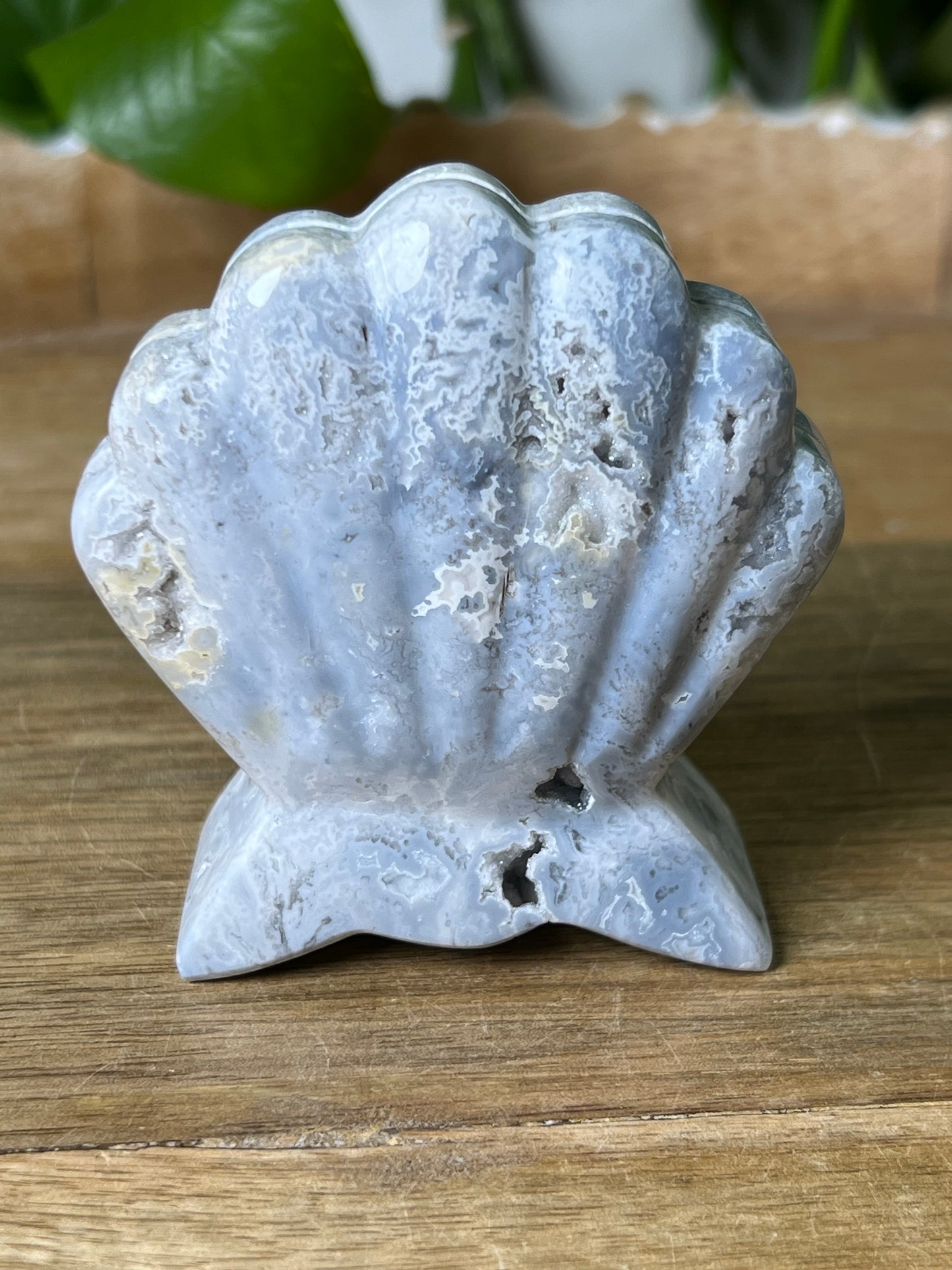 Blue Plume Agate Shell