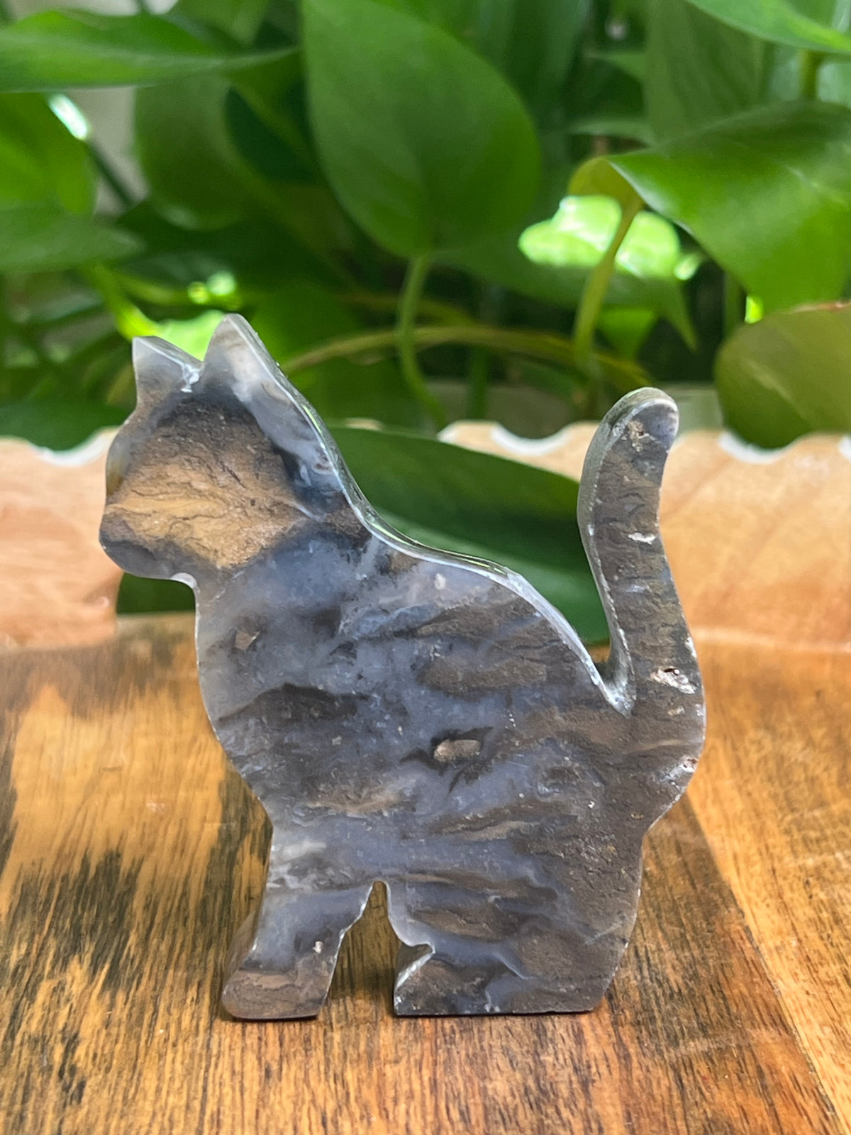 Dendritic Tiger Agate Cat: Qi