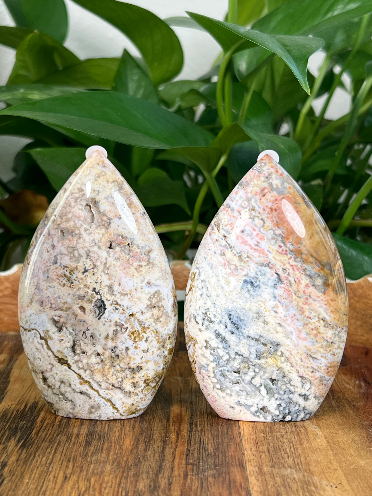 Sea Jasper Flames