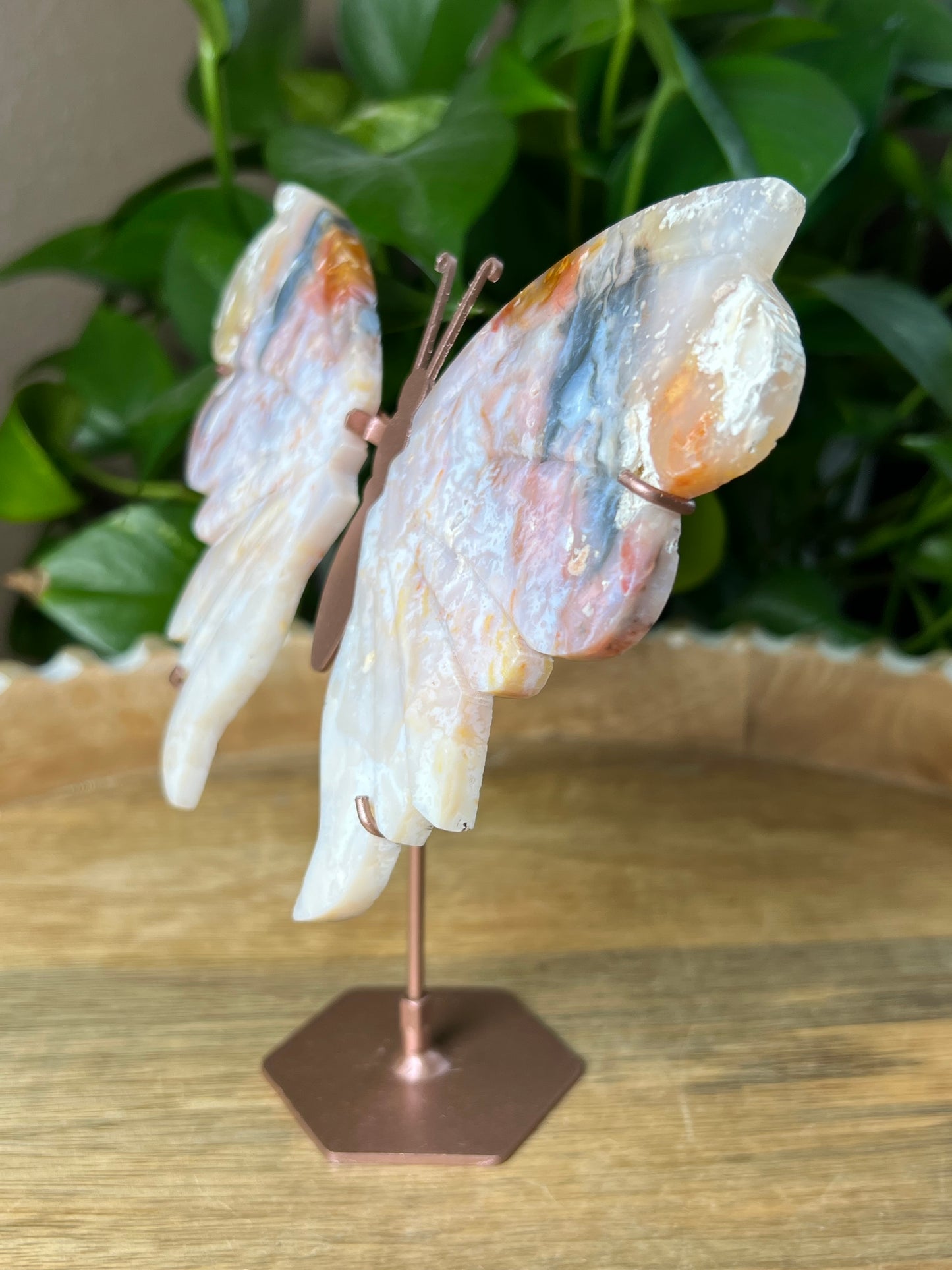 Rainbow Plume Agate Wings