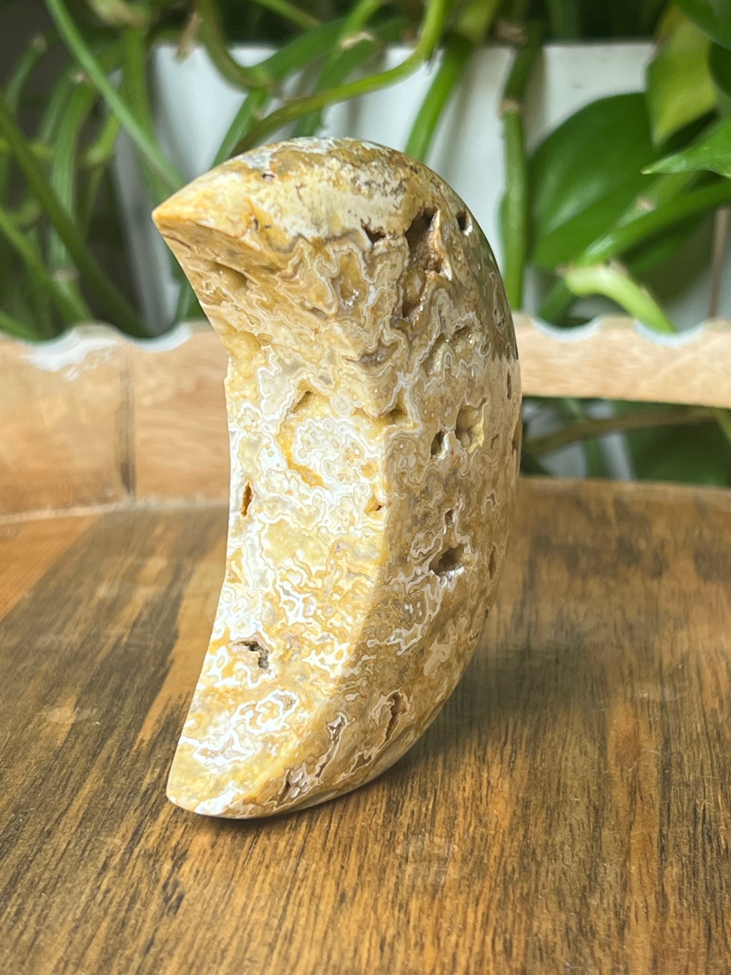 Yellow Crazy Lace Agate Moon