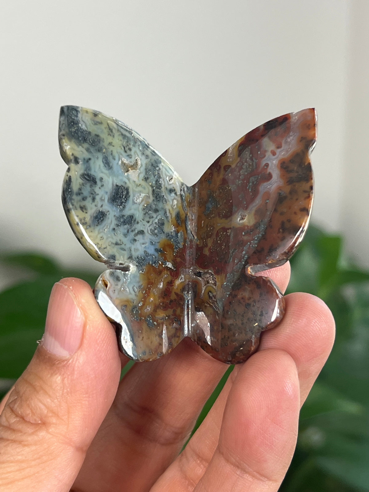 Marcasite 3D Butterflies