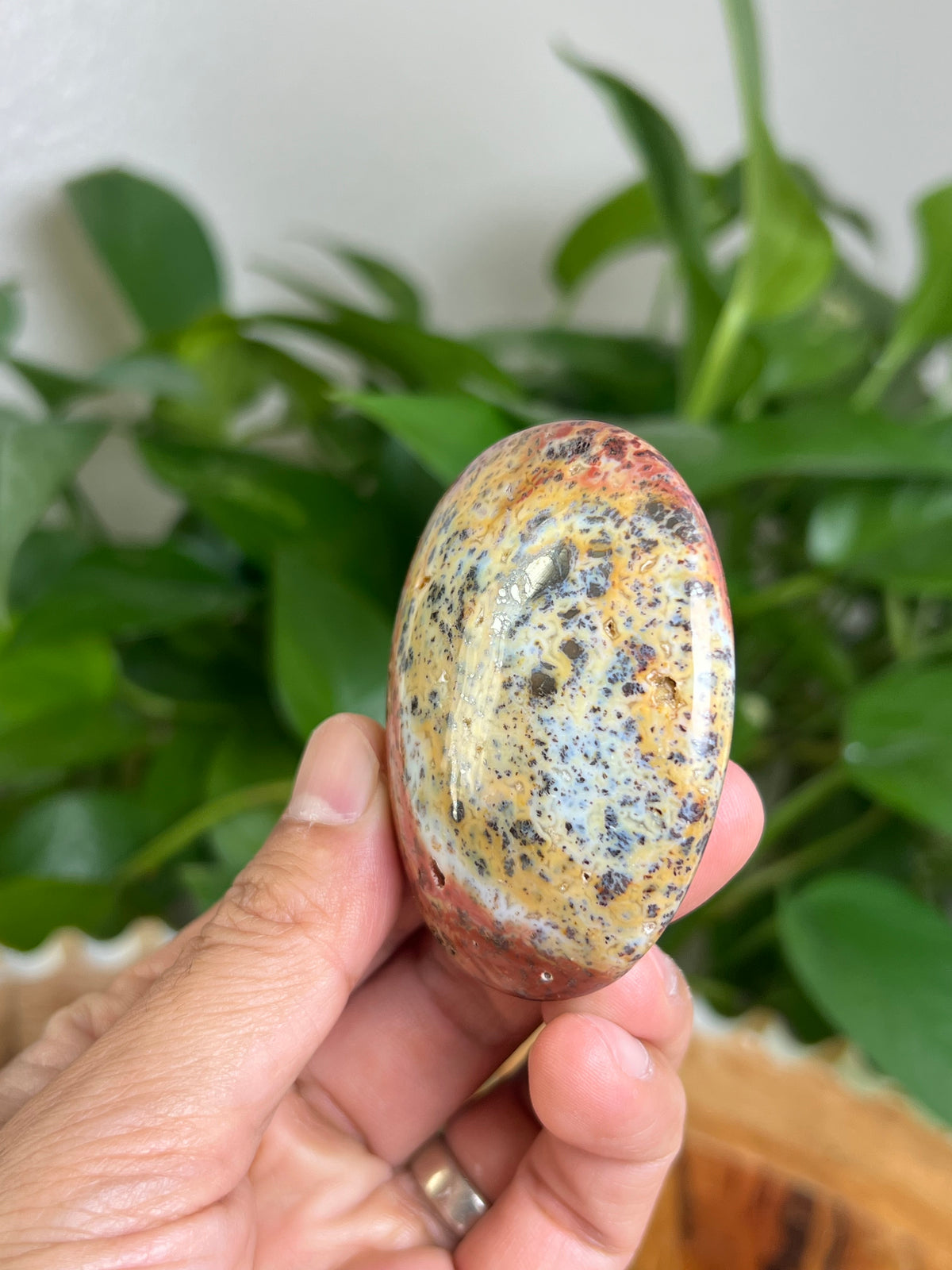Marcasite Palmstone: MS