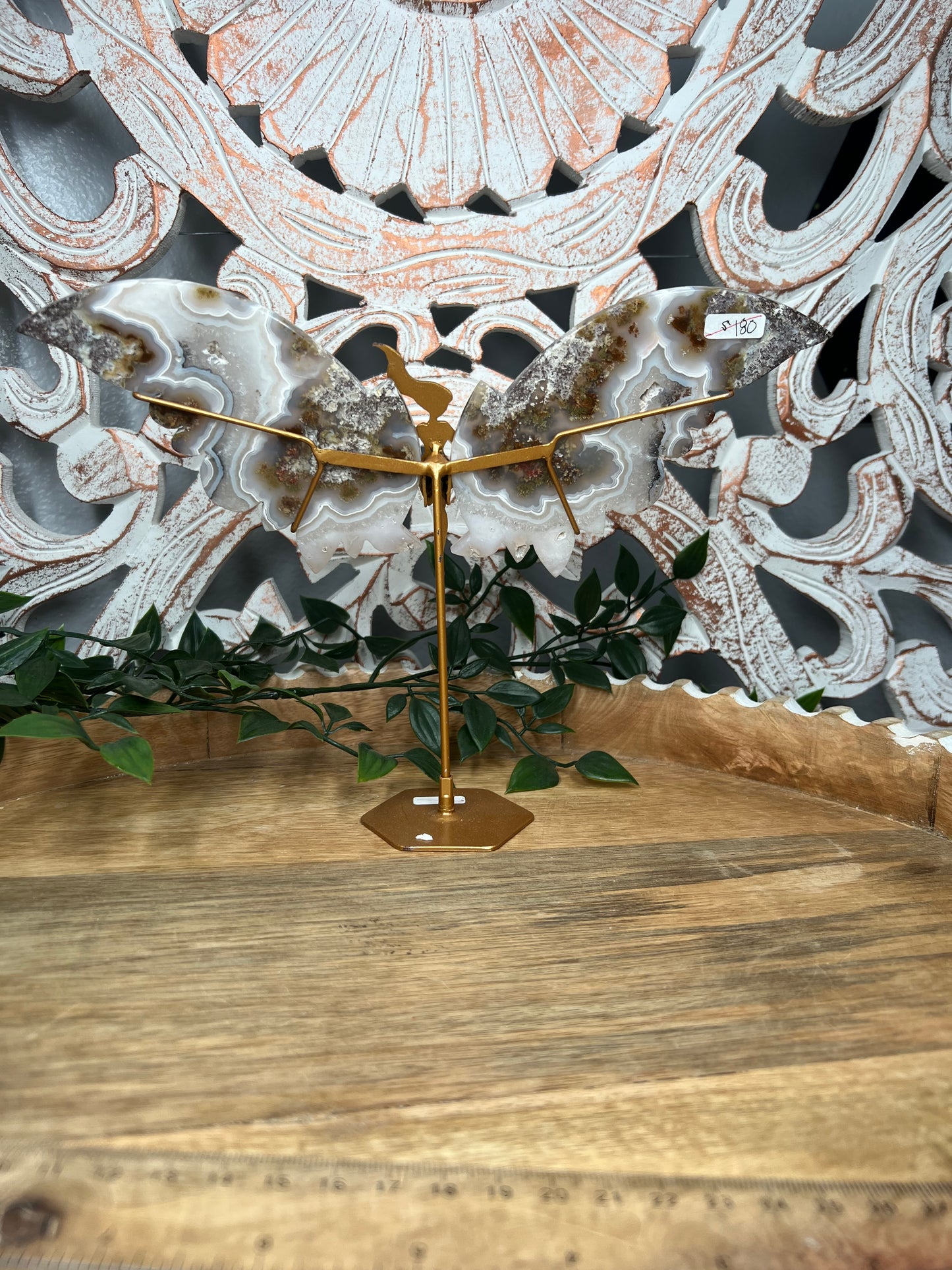 Scenic Moss Agate Wings