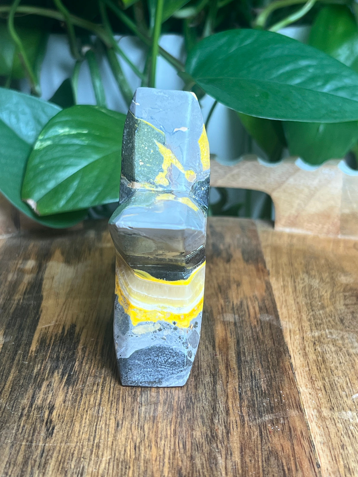 Bumblebee Jasper Star: E