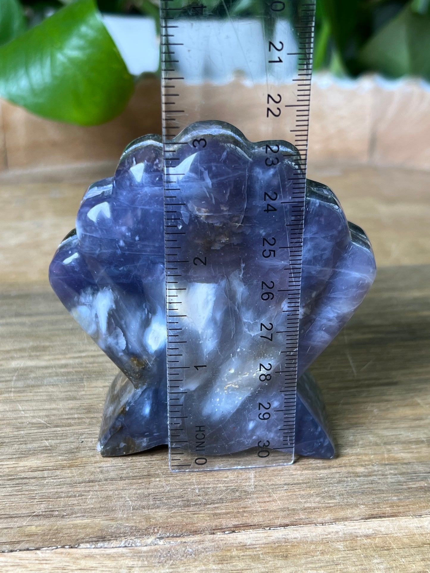 Purple Chalcedony Shell