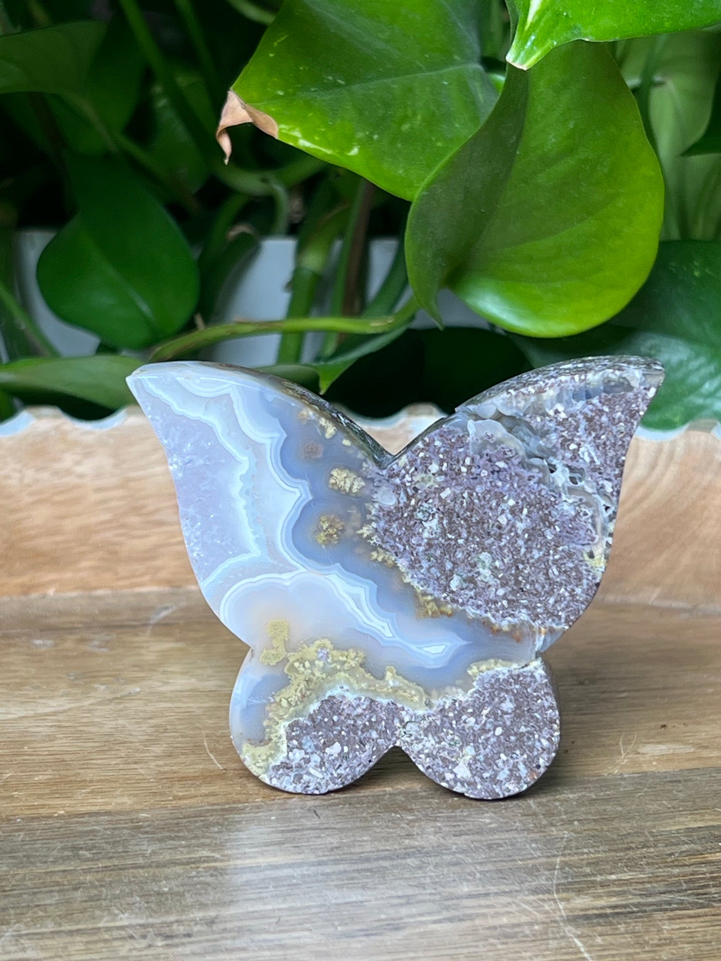 Scenic Moss Agate Butterfly