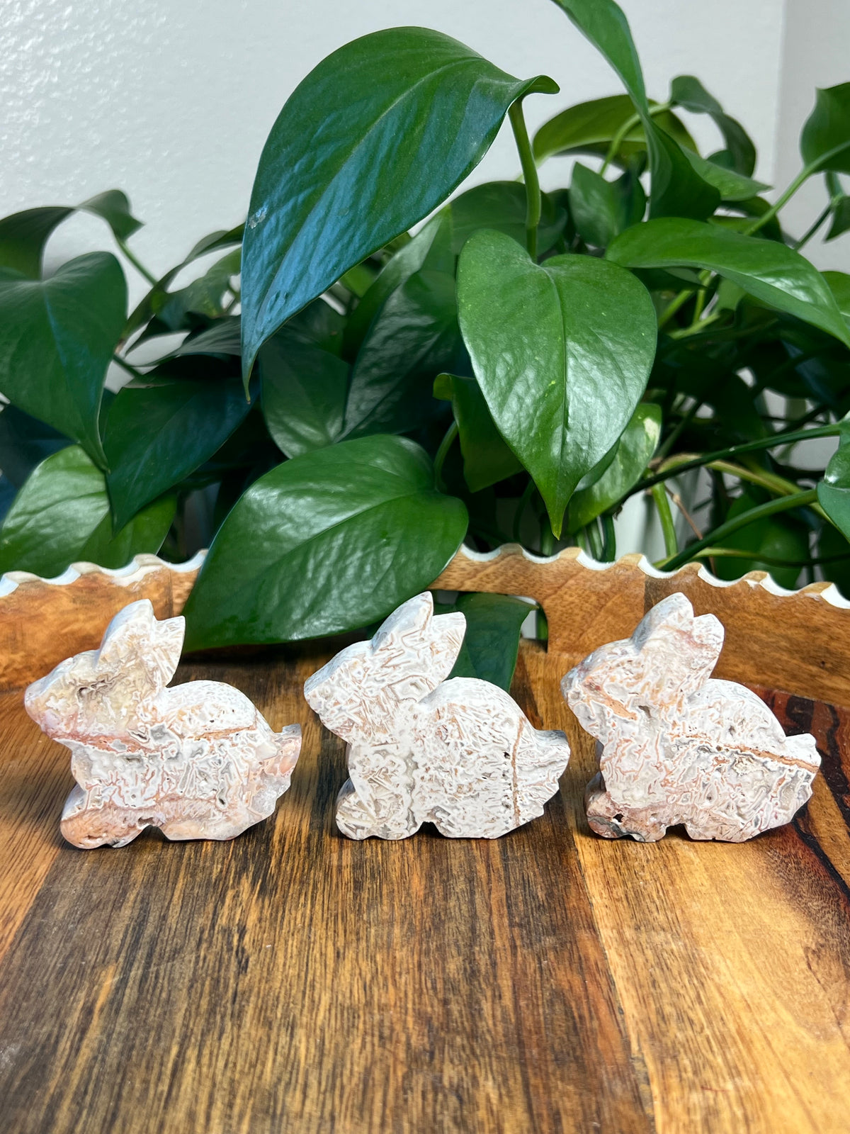 Tube Agate Bunnies