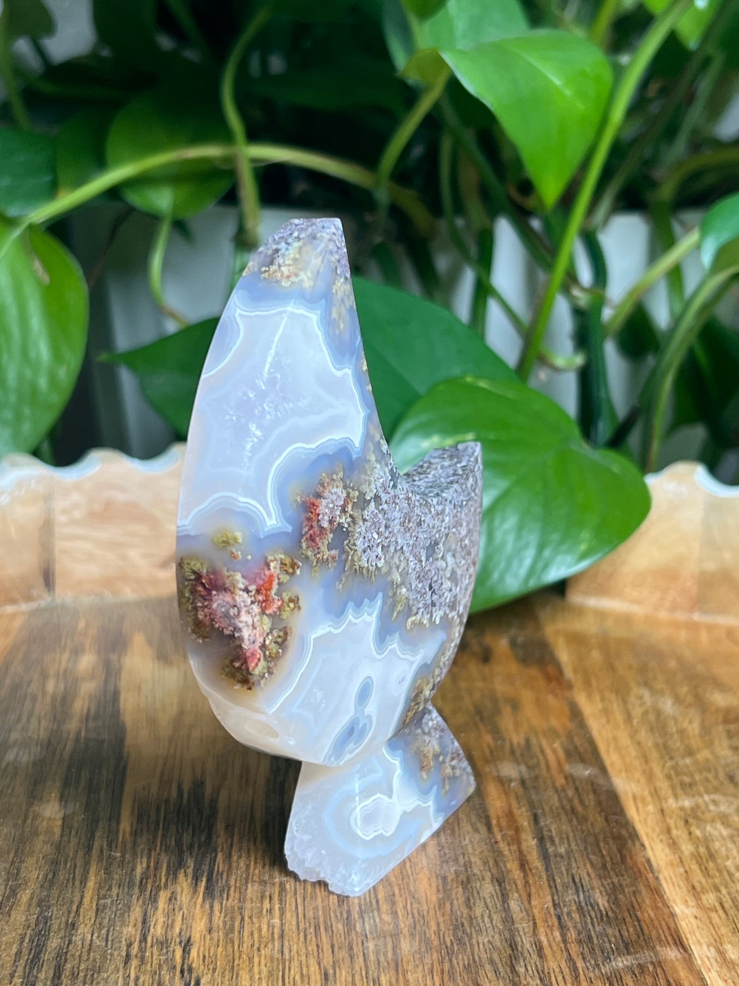 Scenic Moss Agate Self-Standing Moon: PA