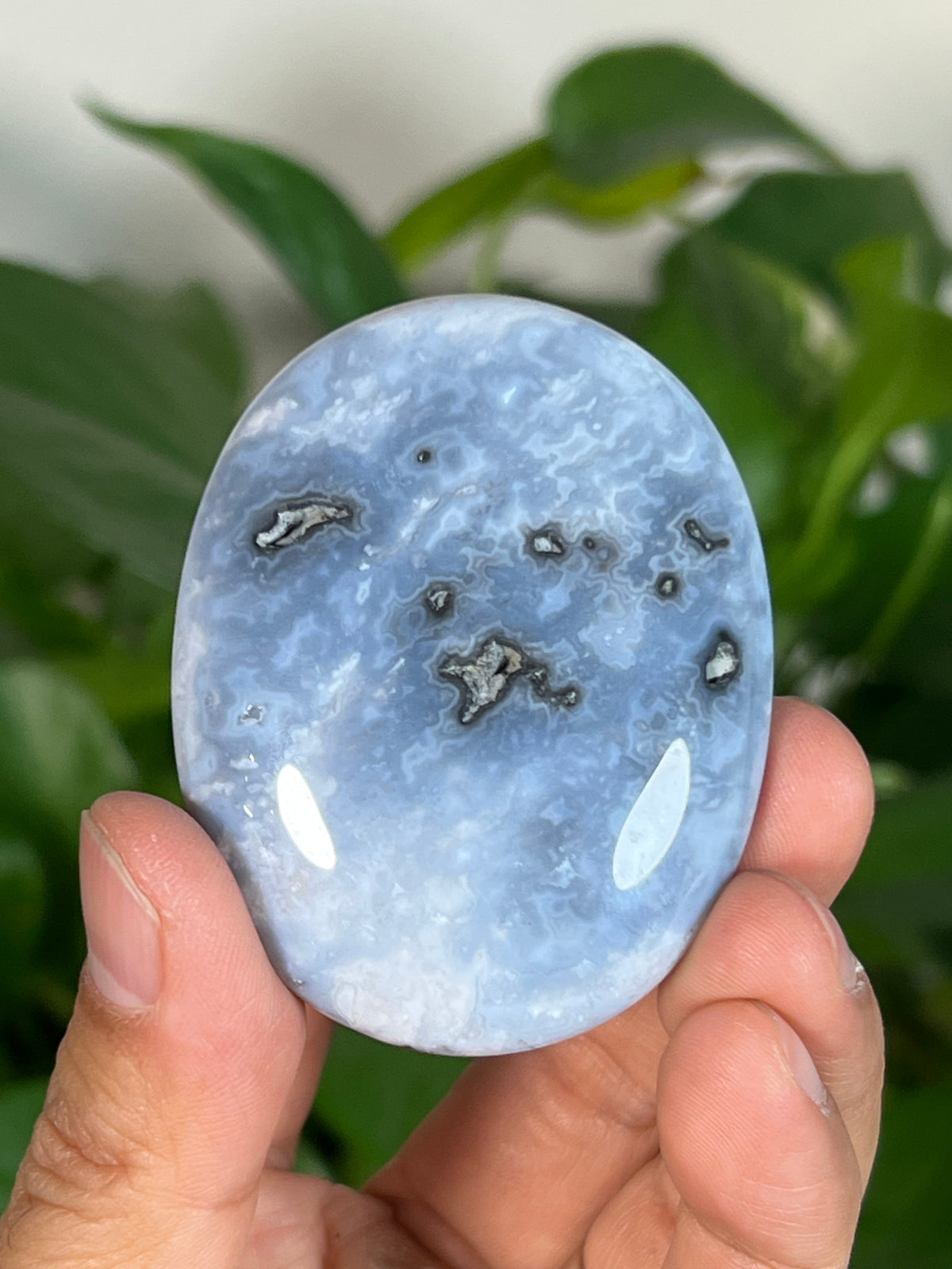 Blue Plume Agate Palmstones
