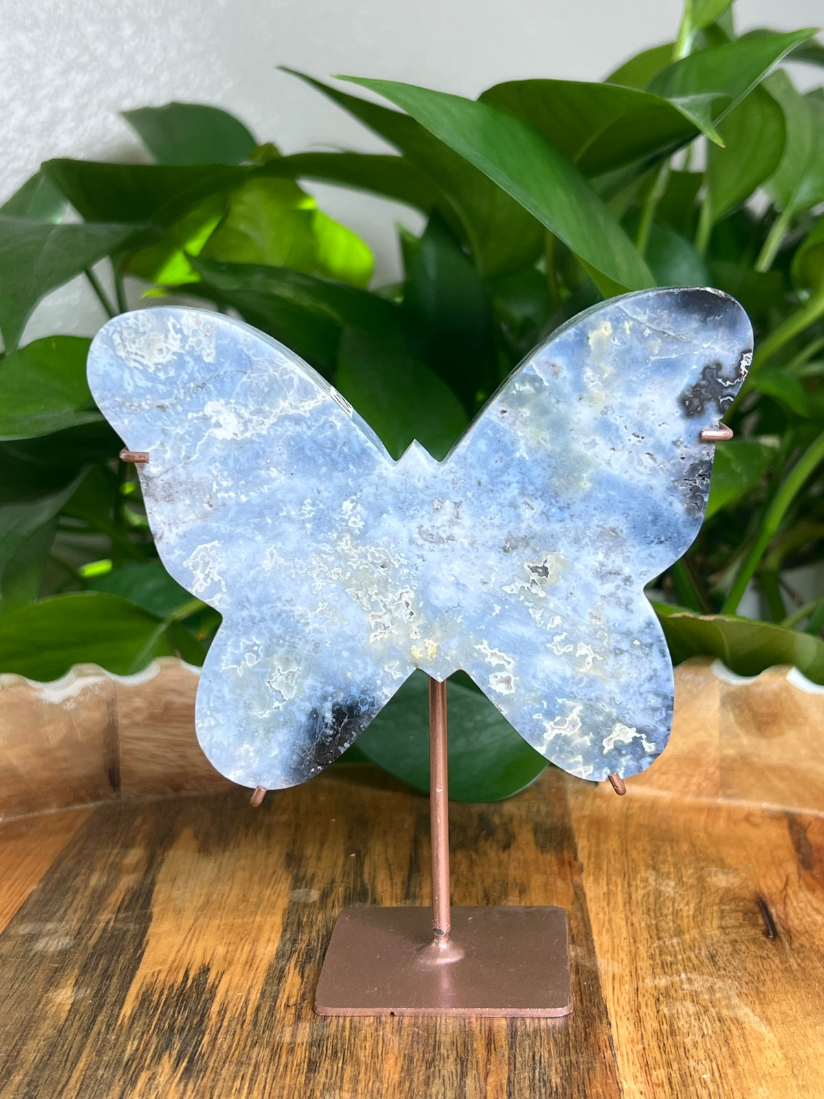 Blue Plume Agate Butterfly: Di