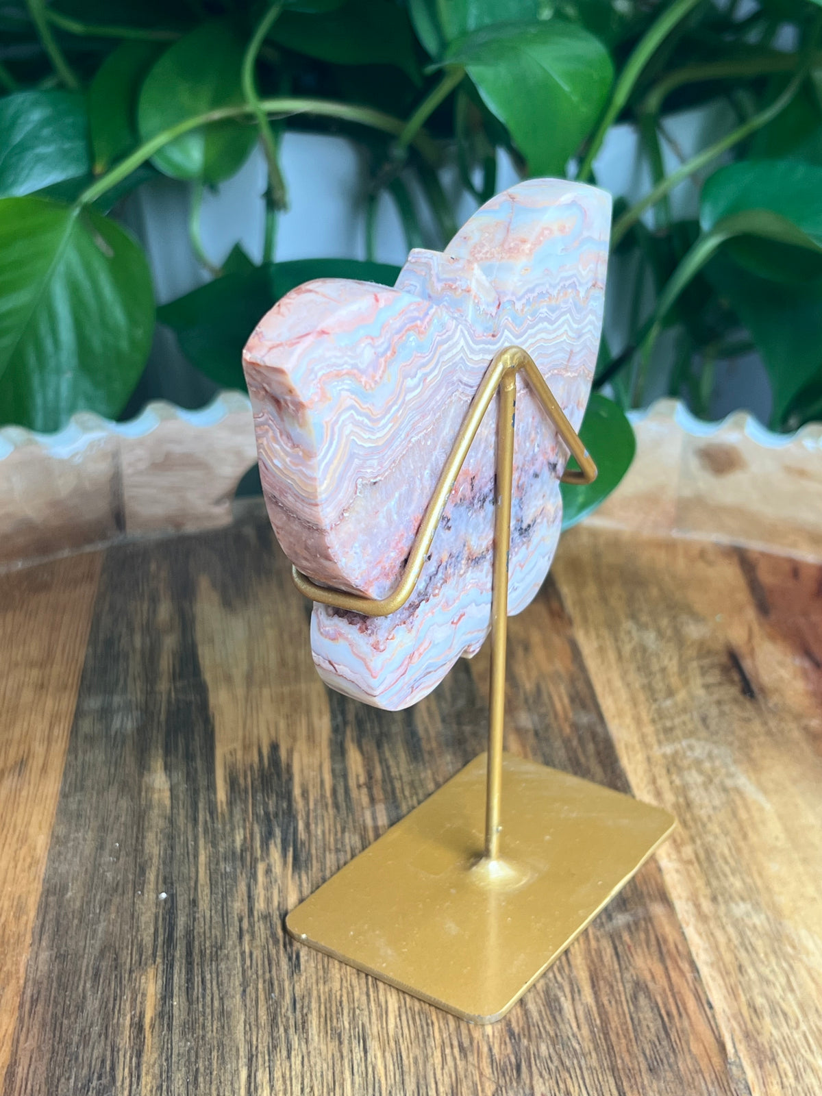 Crazy Lace Agate Butterfly: QX