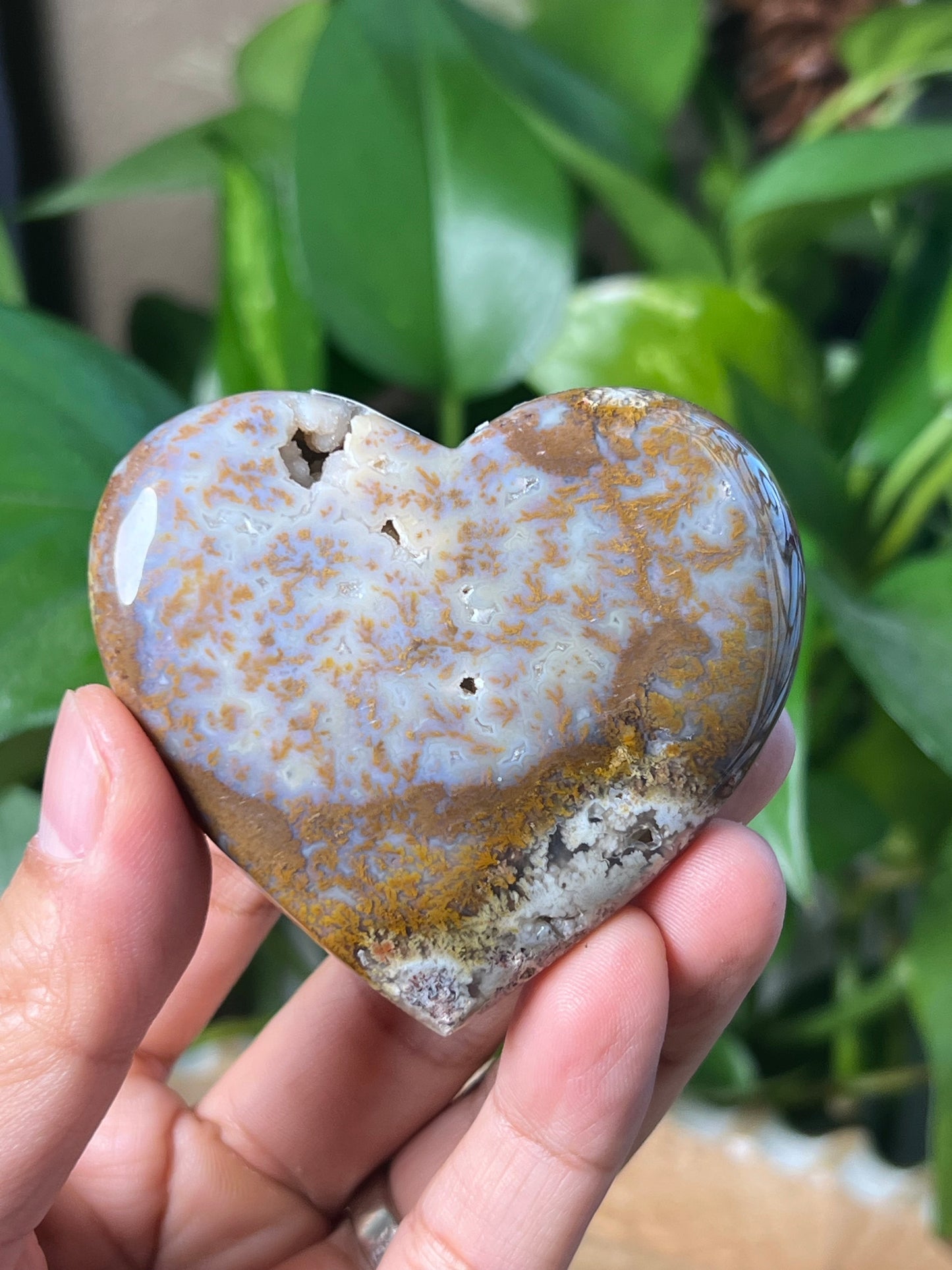 Scenic Moss Agate Heart
