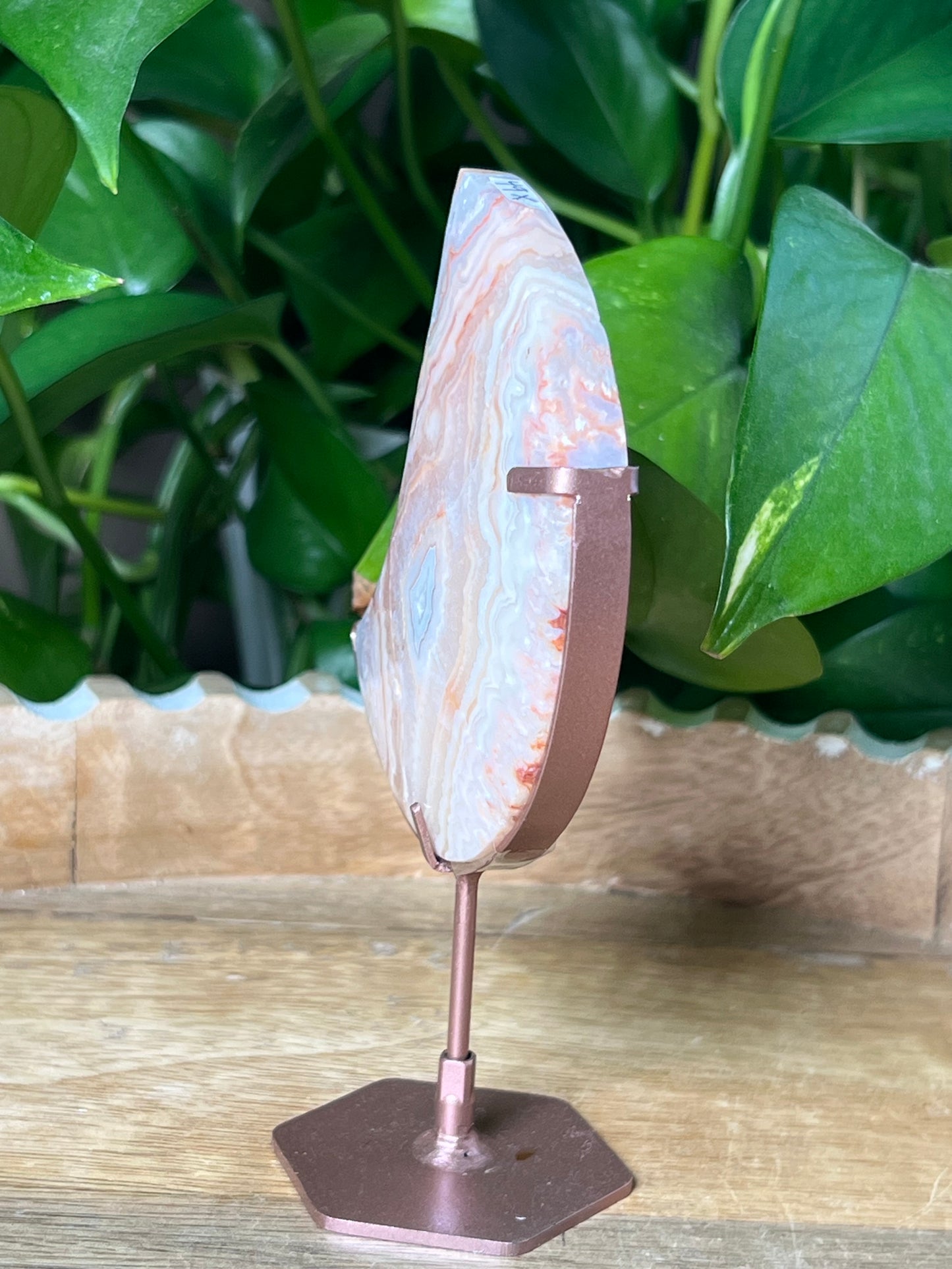 Crazy Lace Agate Moon