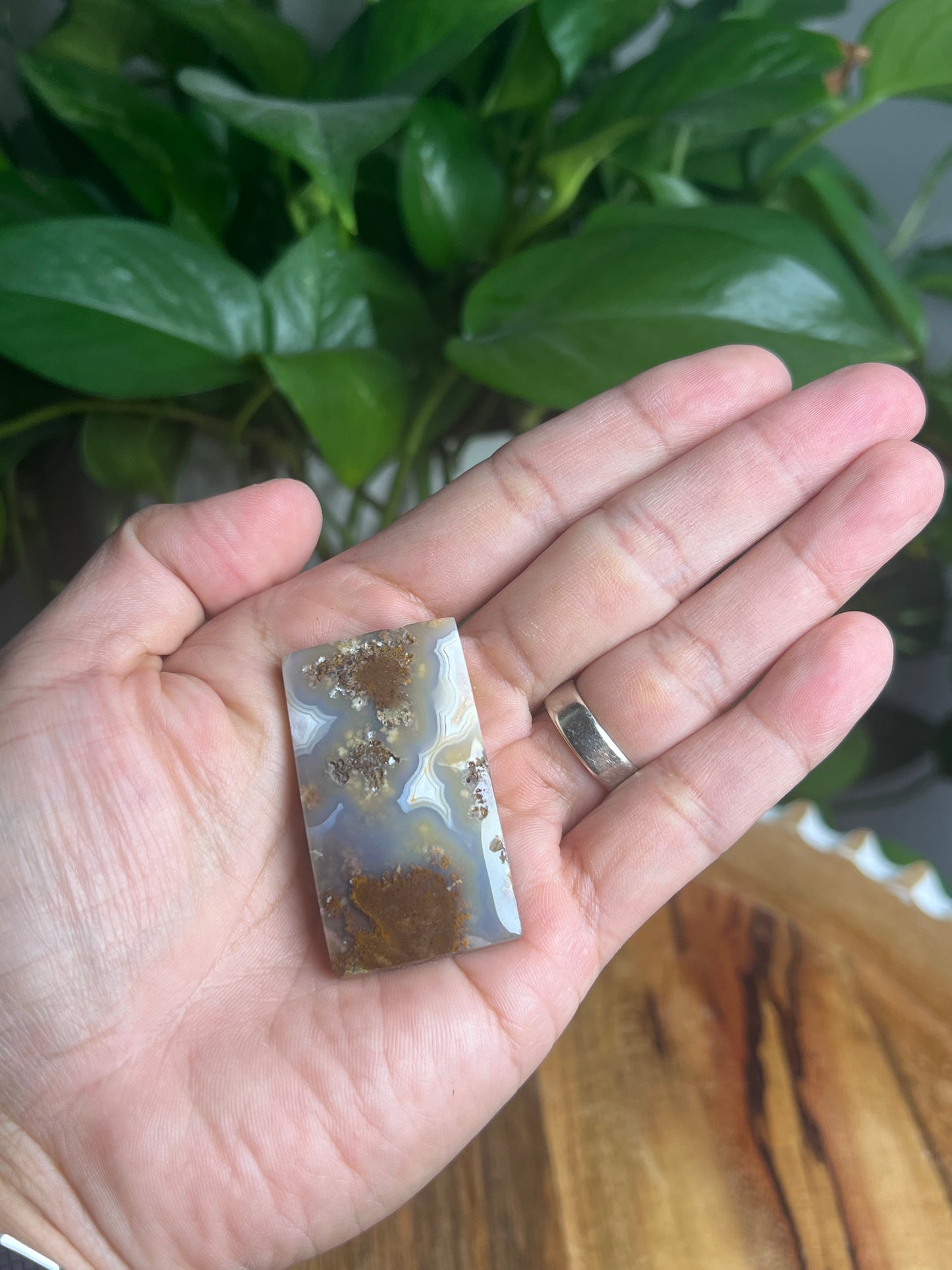 Scenic Moss Agate Cabochon: BB