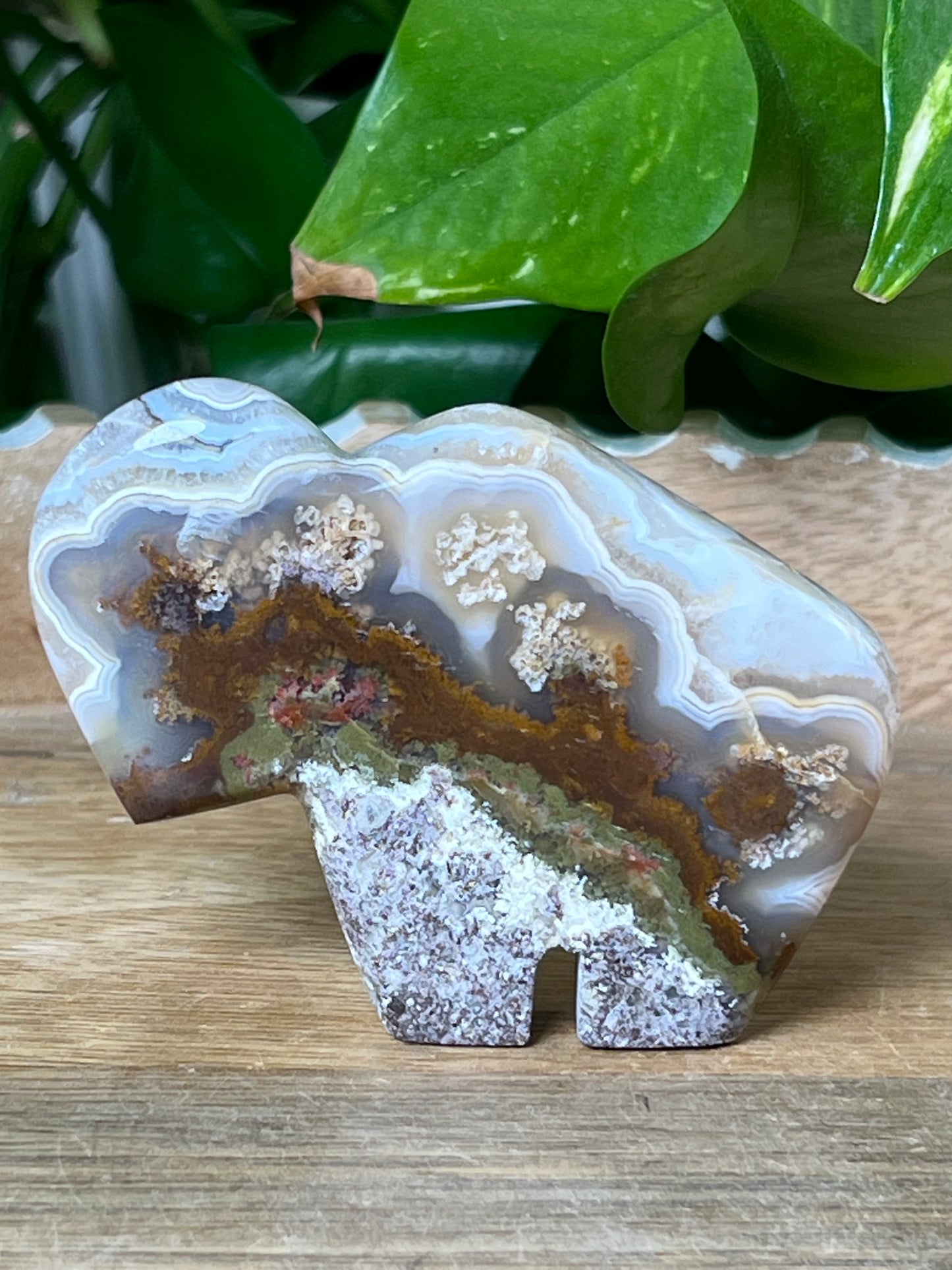 Scenic Moss Agate Buffalo