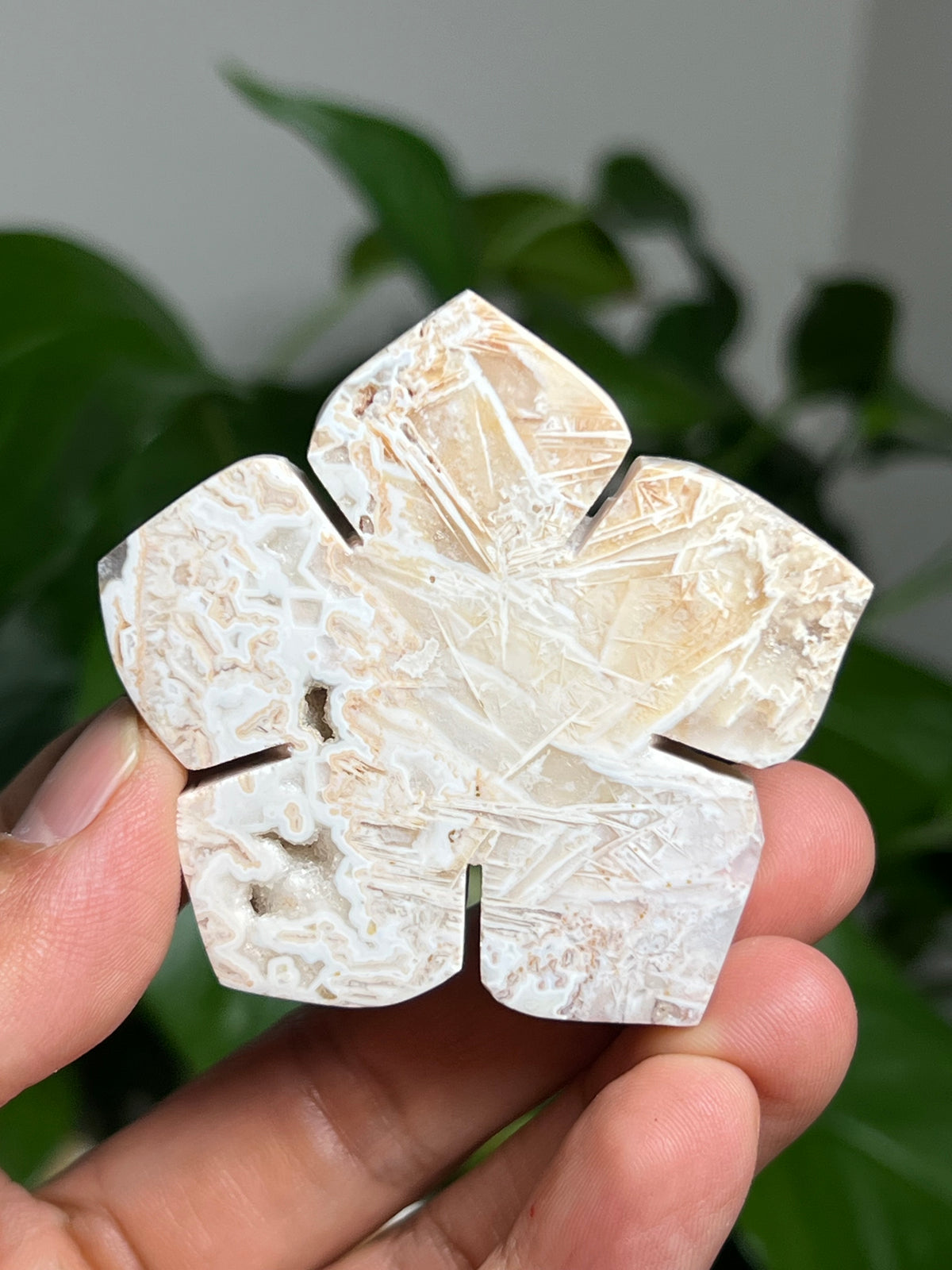 Tube Agate Mini Flowers
