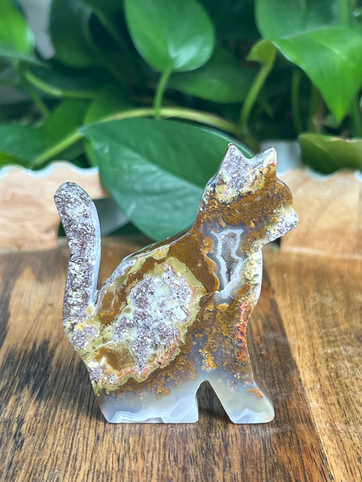 Scenic Moss Agate Cat: RE