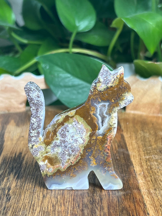 Scenic Moss Agate Cat: RE