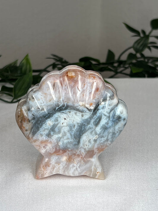 Rainbow Plume Agate Shell