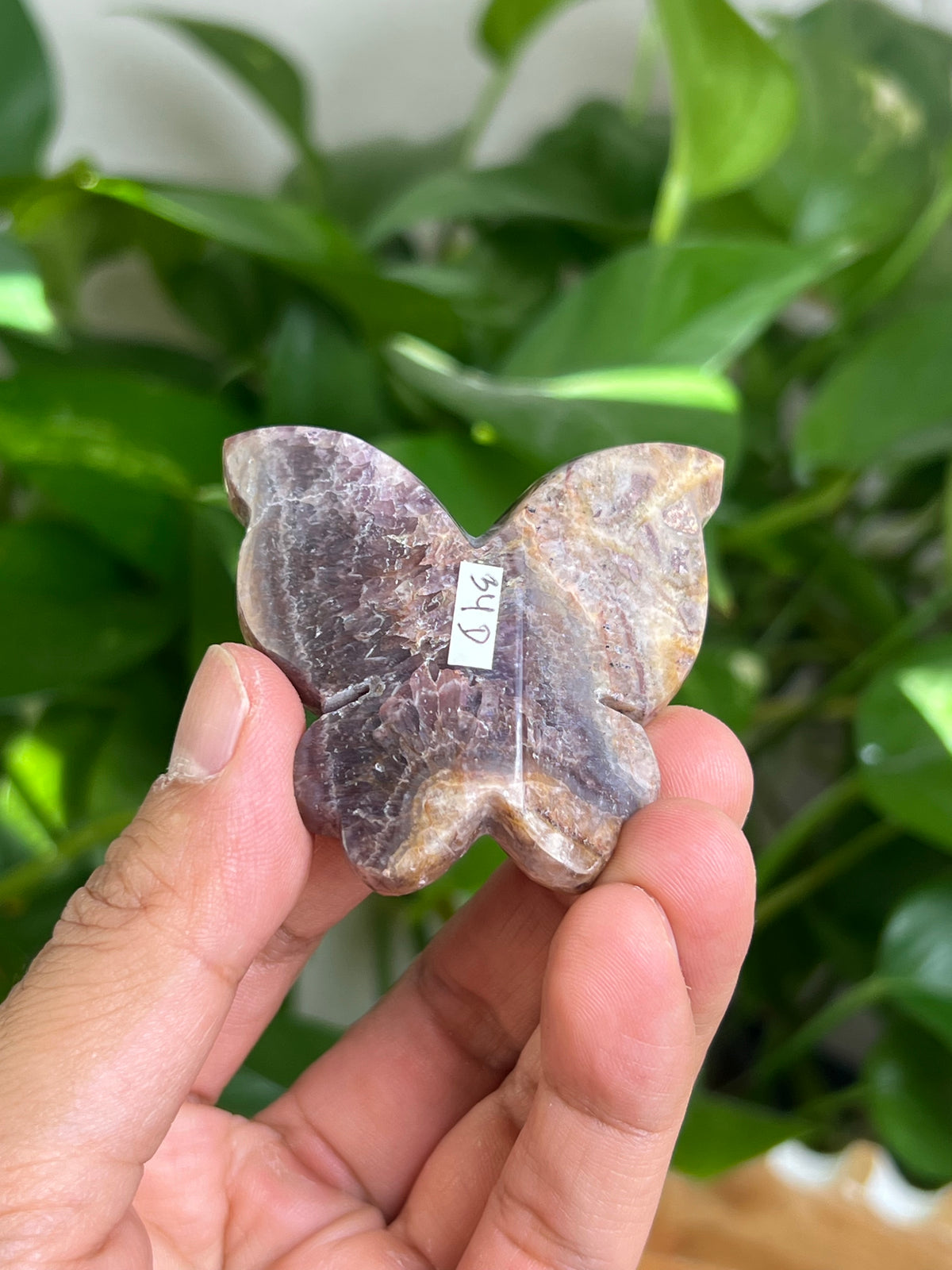 Indonesian Amethyst 3D Butterfly: D